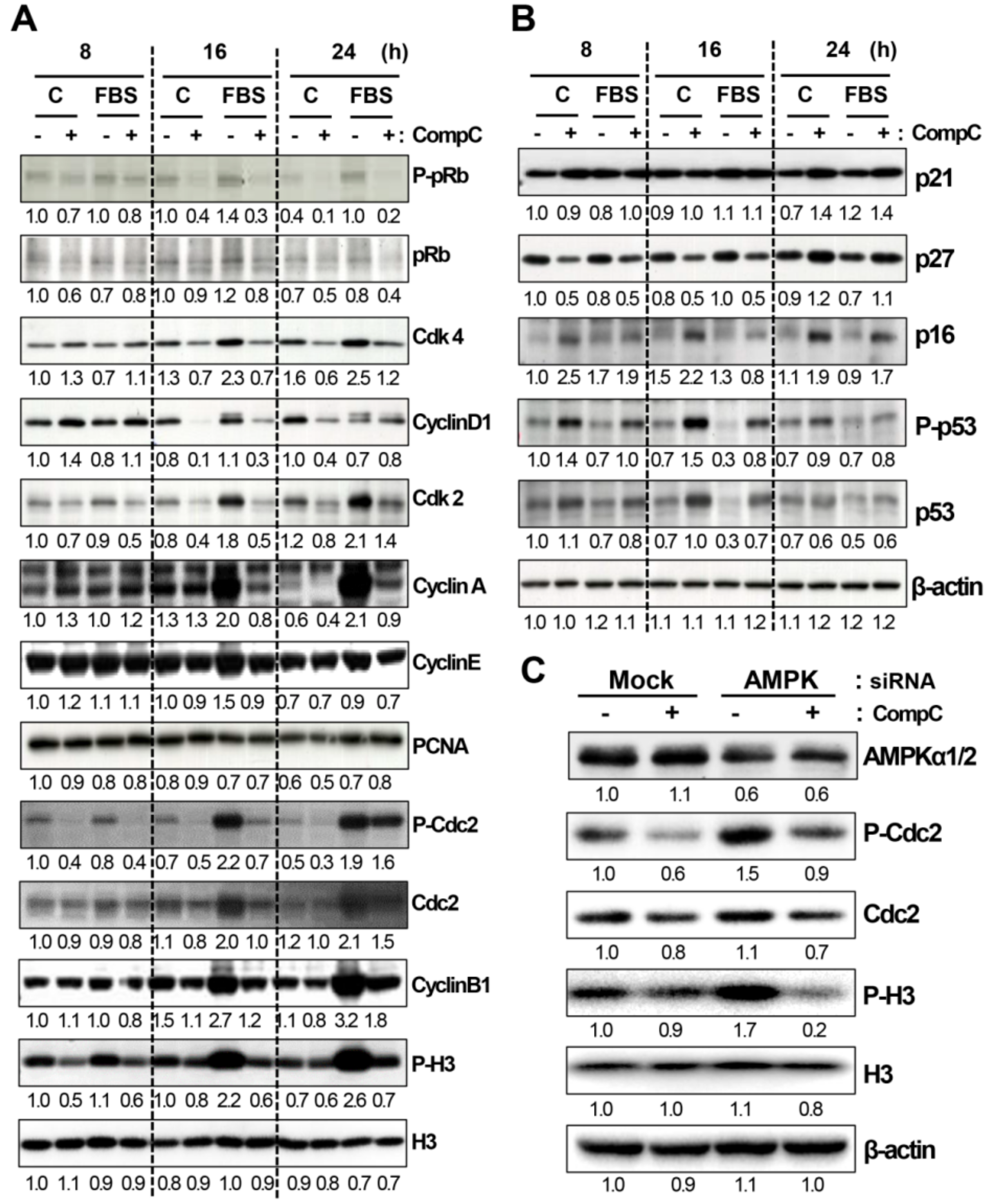 Cancers 11 00823 g002 Cancers 11 00823 g002