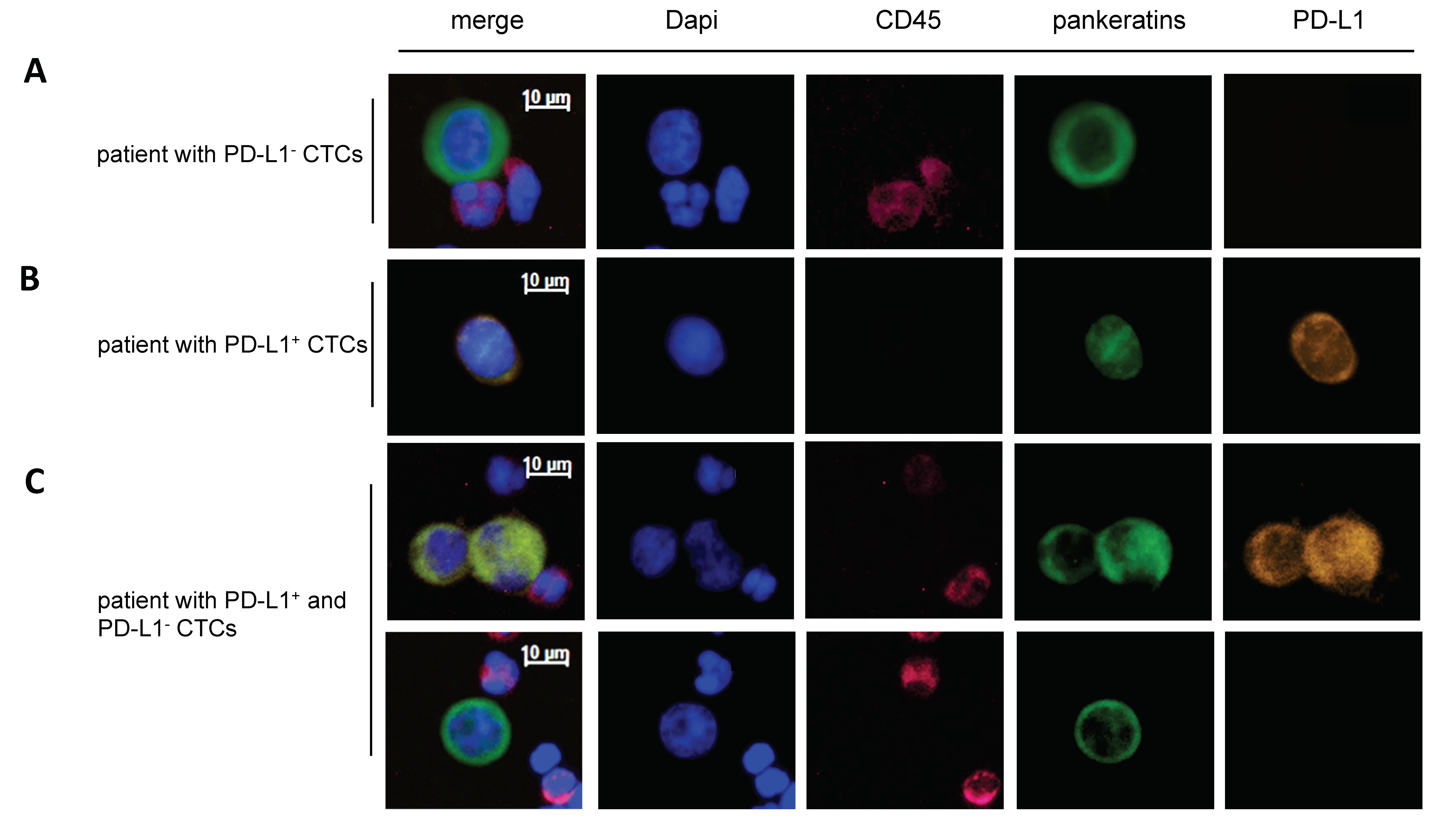 Cancers 11 00835 g002