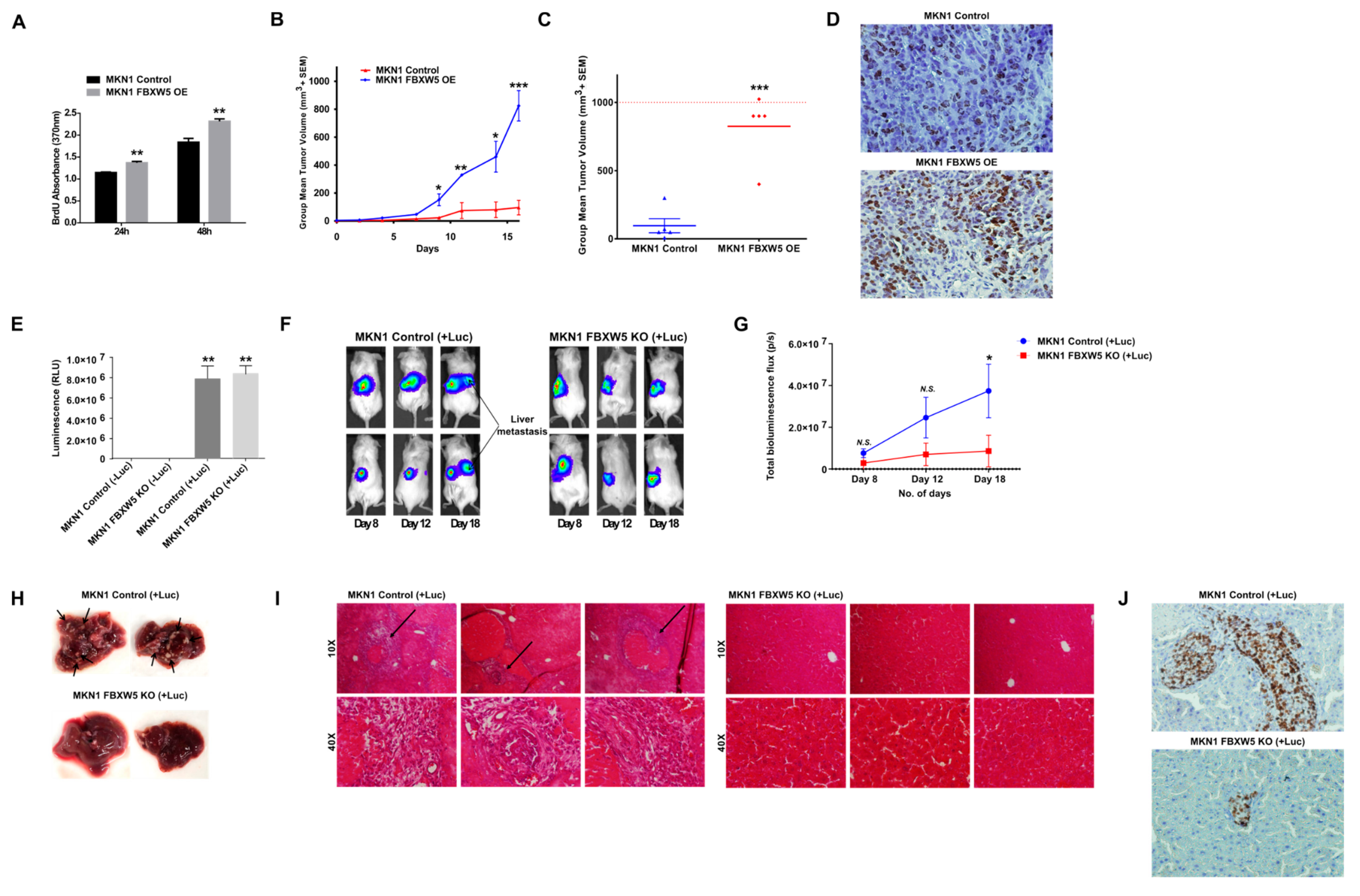 Cancers 11 00836 g005 Cancers 11 00836 g005