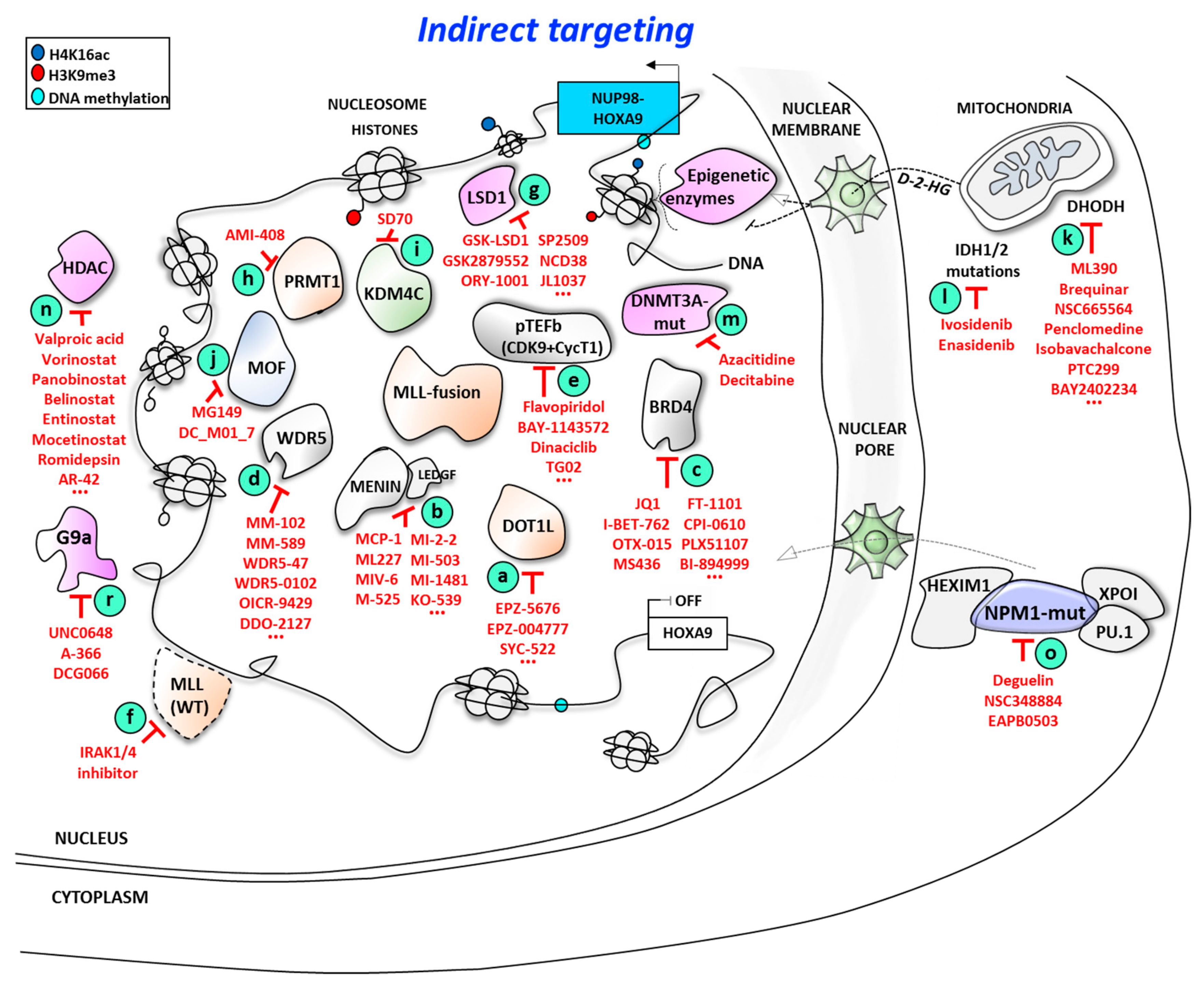 Cancers 11 00837 g002