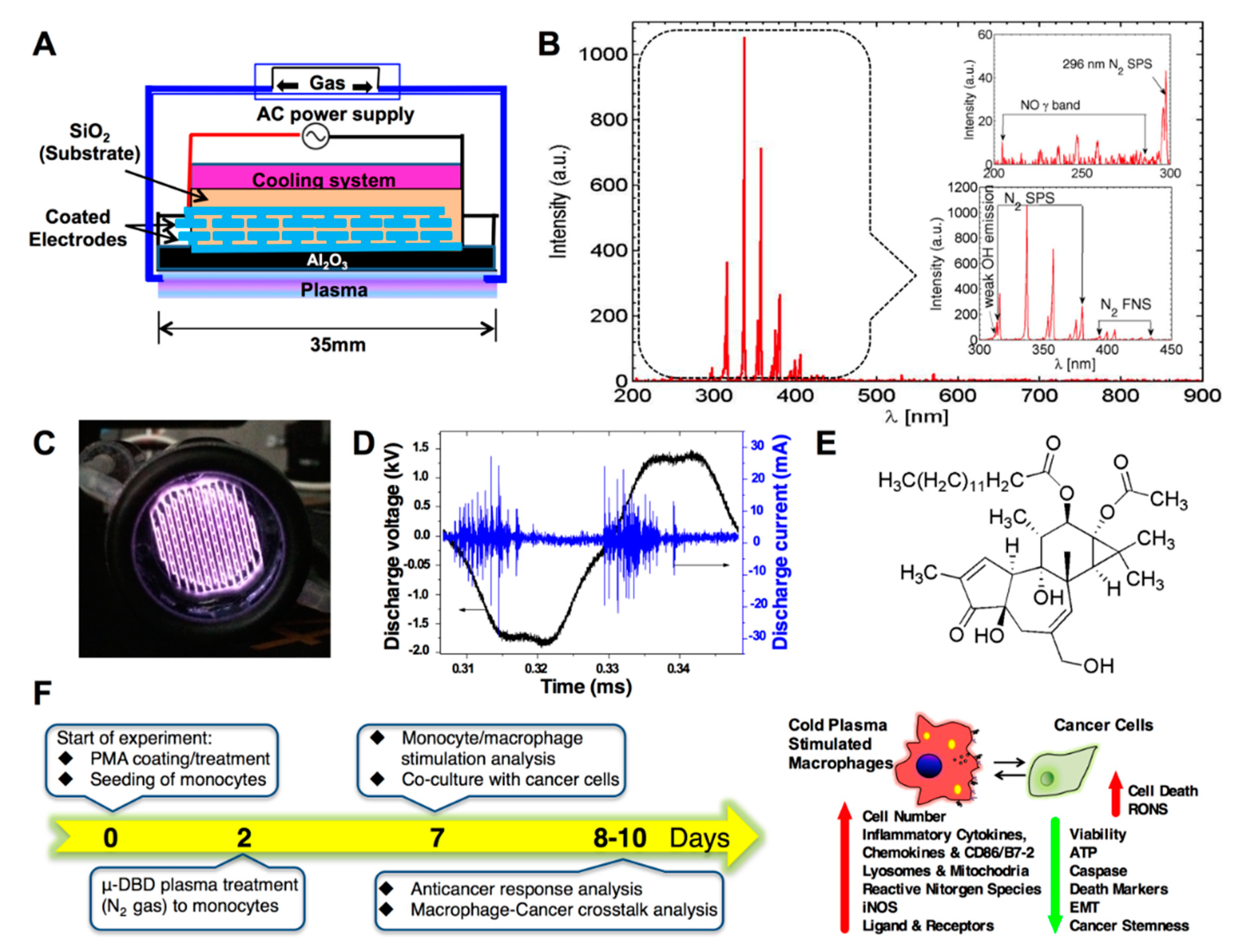 Cancers 11 00842 g001