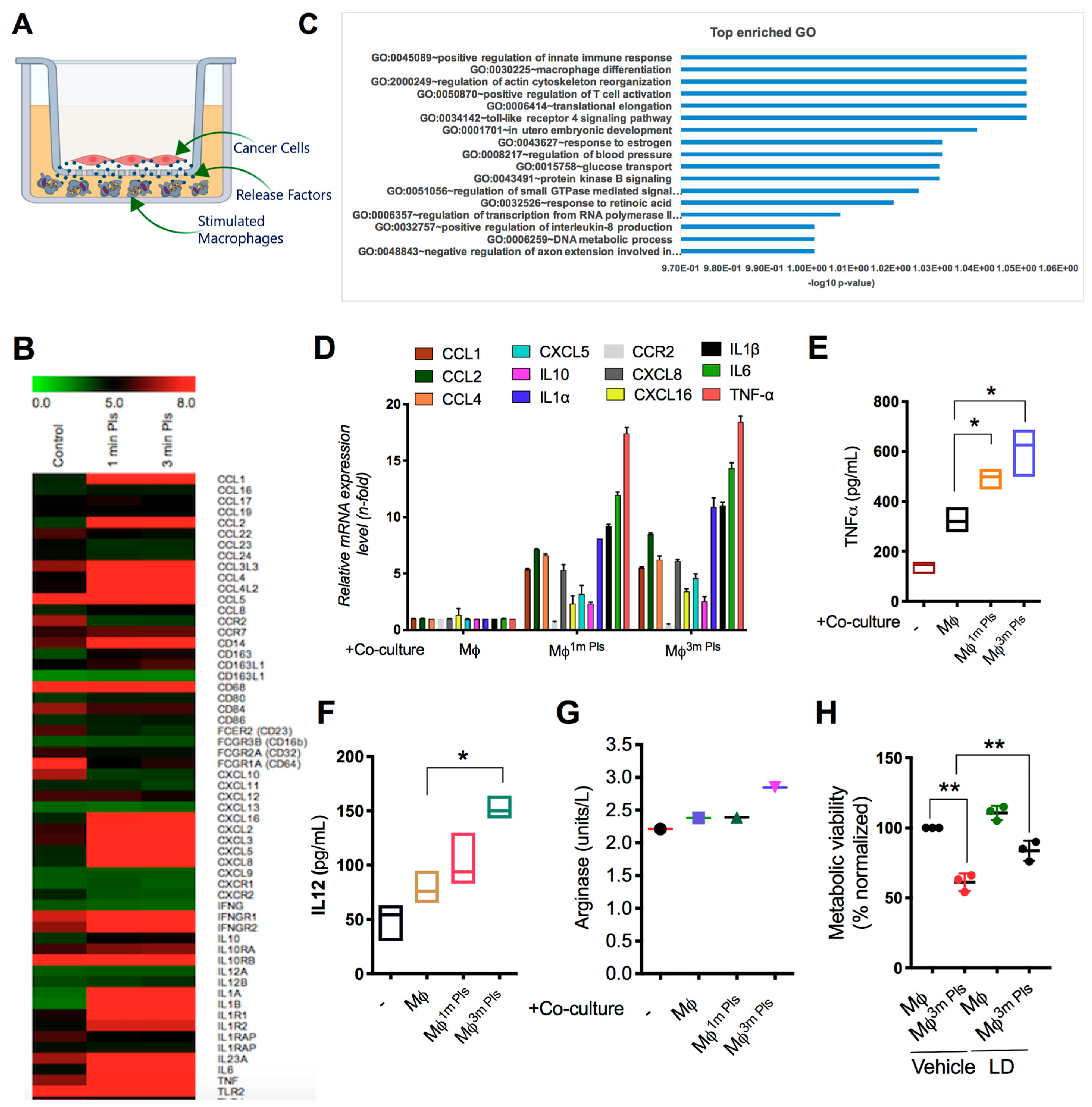Cancers 11 00842 g004a