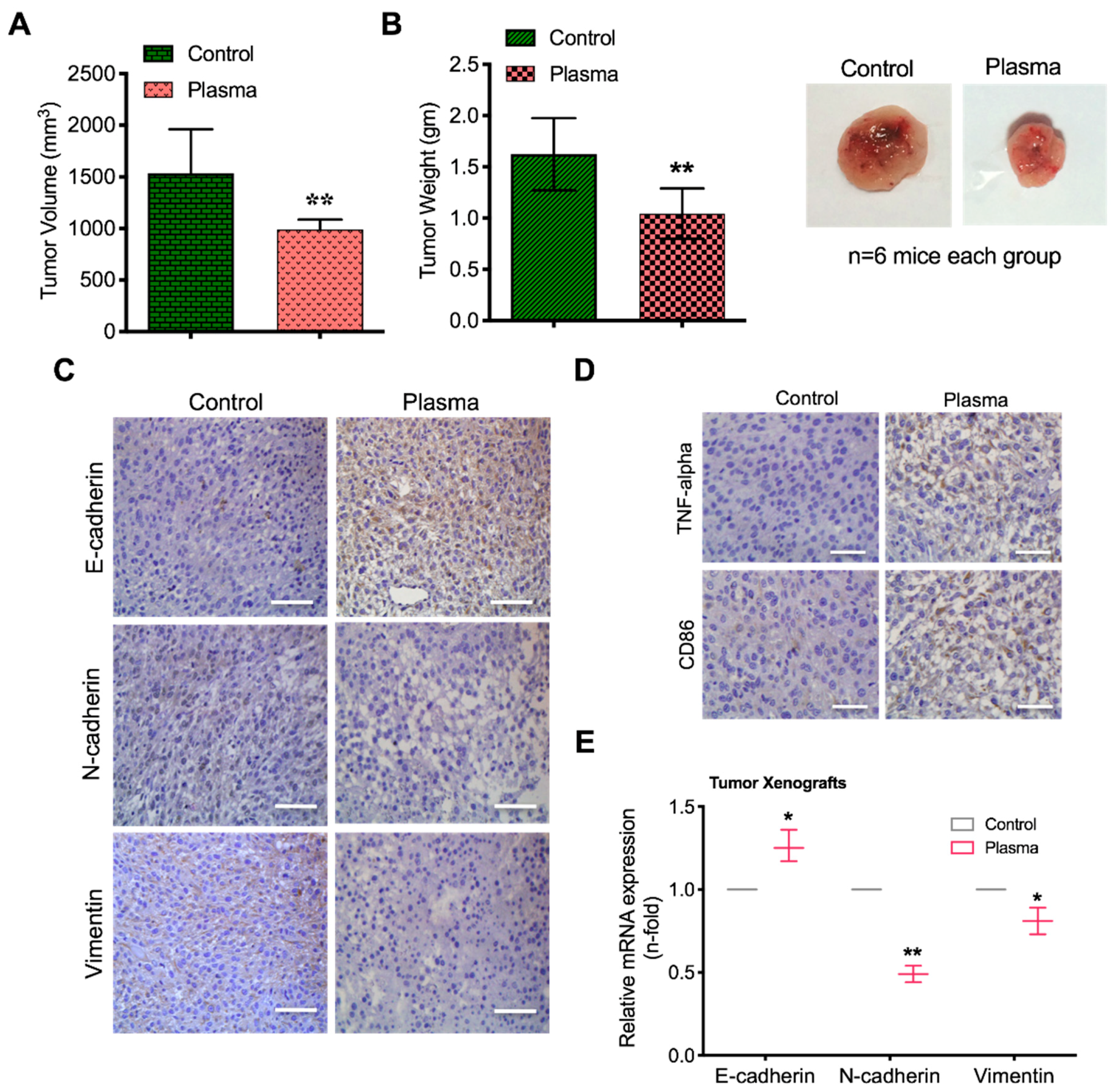 Cancers 11 00842 g007a