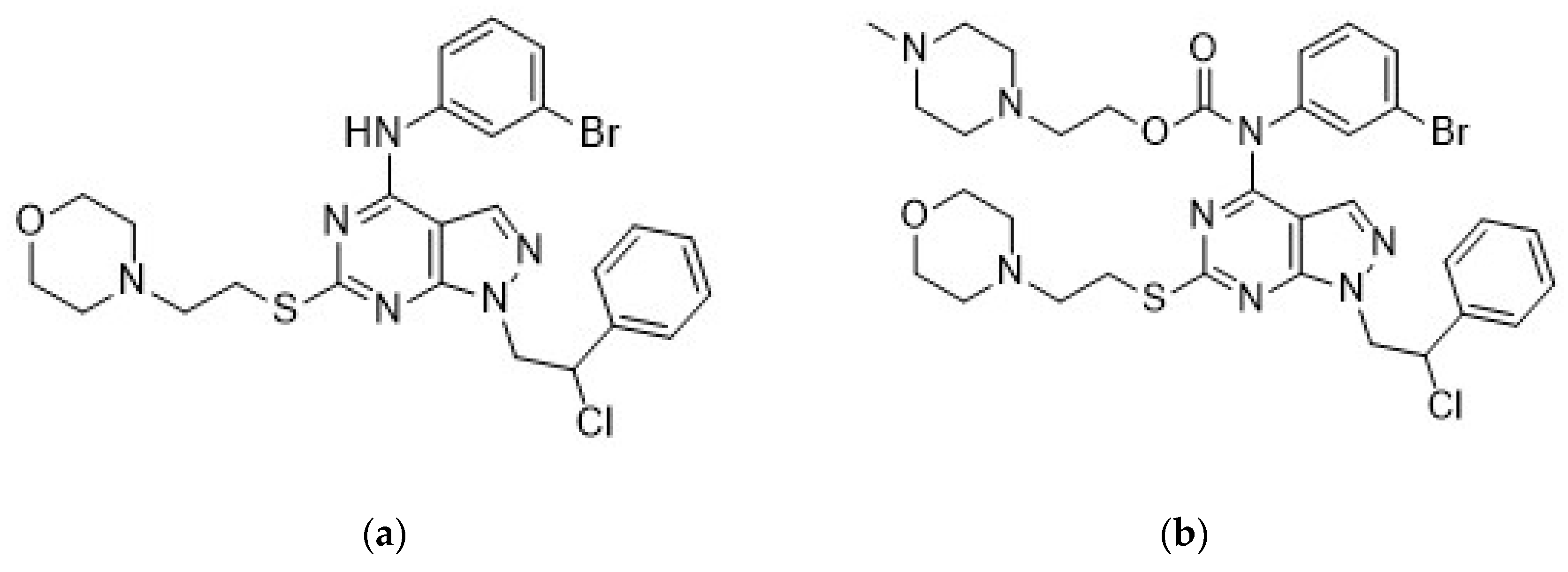 Cancers 11 00848 g001