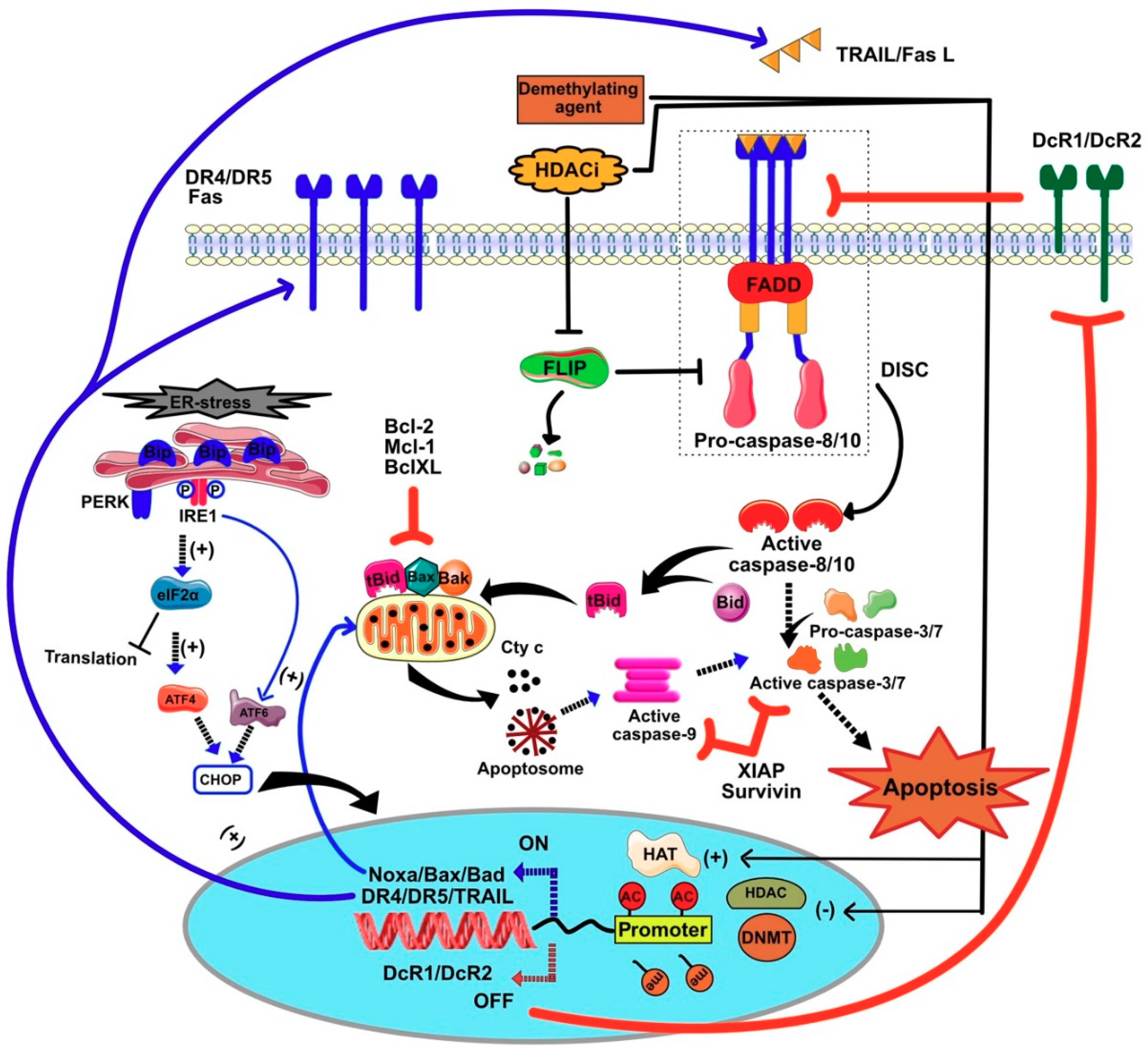 Cancers 11 00850 g009 Cancers 11 00850 g009