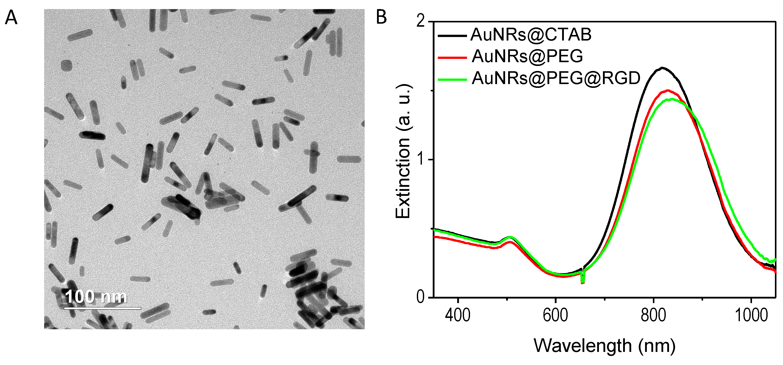 Cancers 11 00851 g001