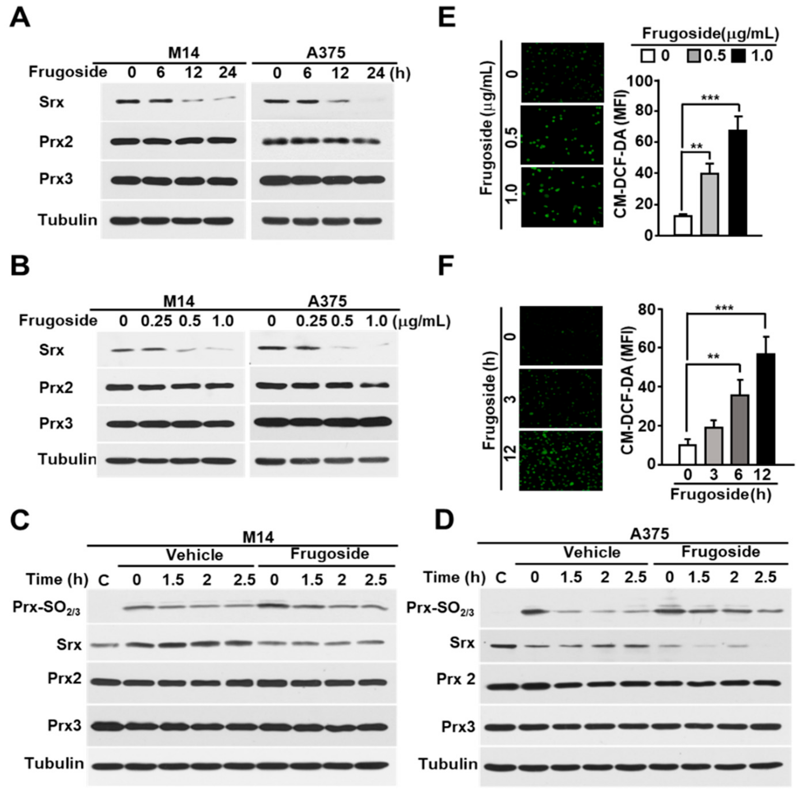 Cancers 11 00854 g001 Cancers 11 00854 g001