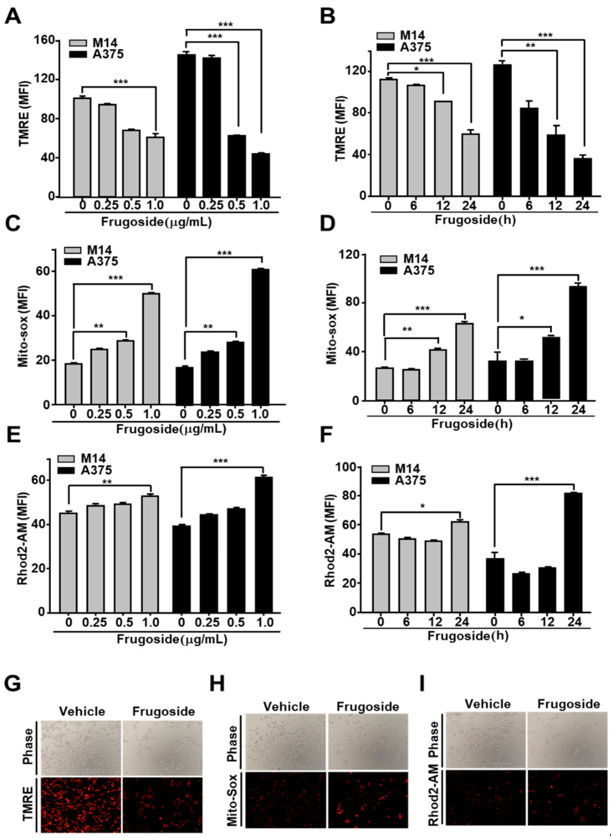 Cancers 11 00854 g003 Cancers 11 00854 g003
