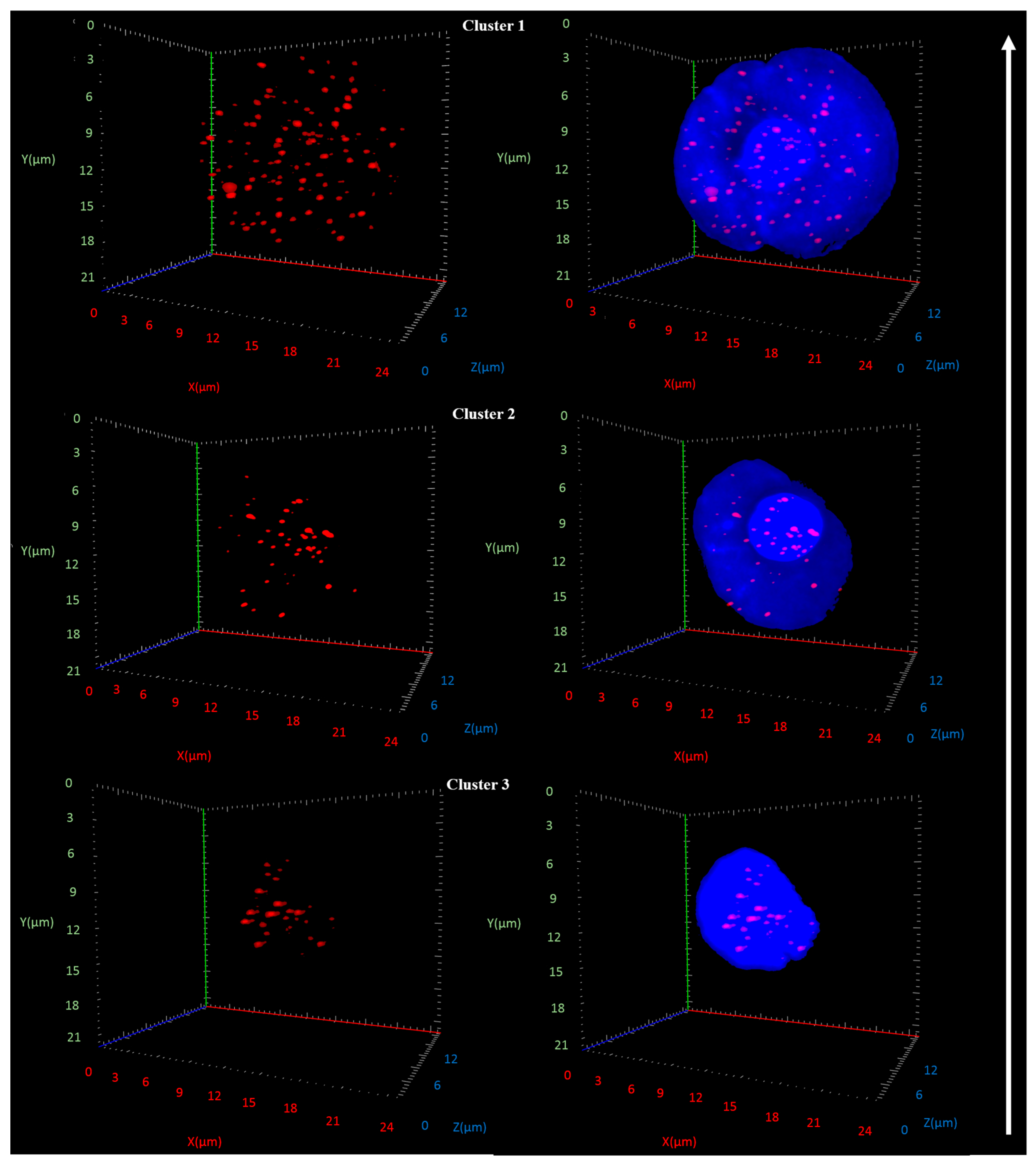 Cancers 11 00855 g002 Cancers 11 00855 g002