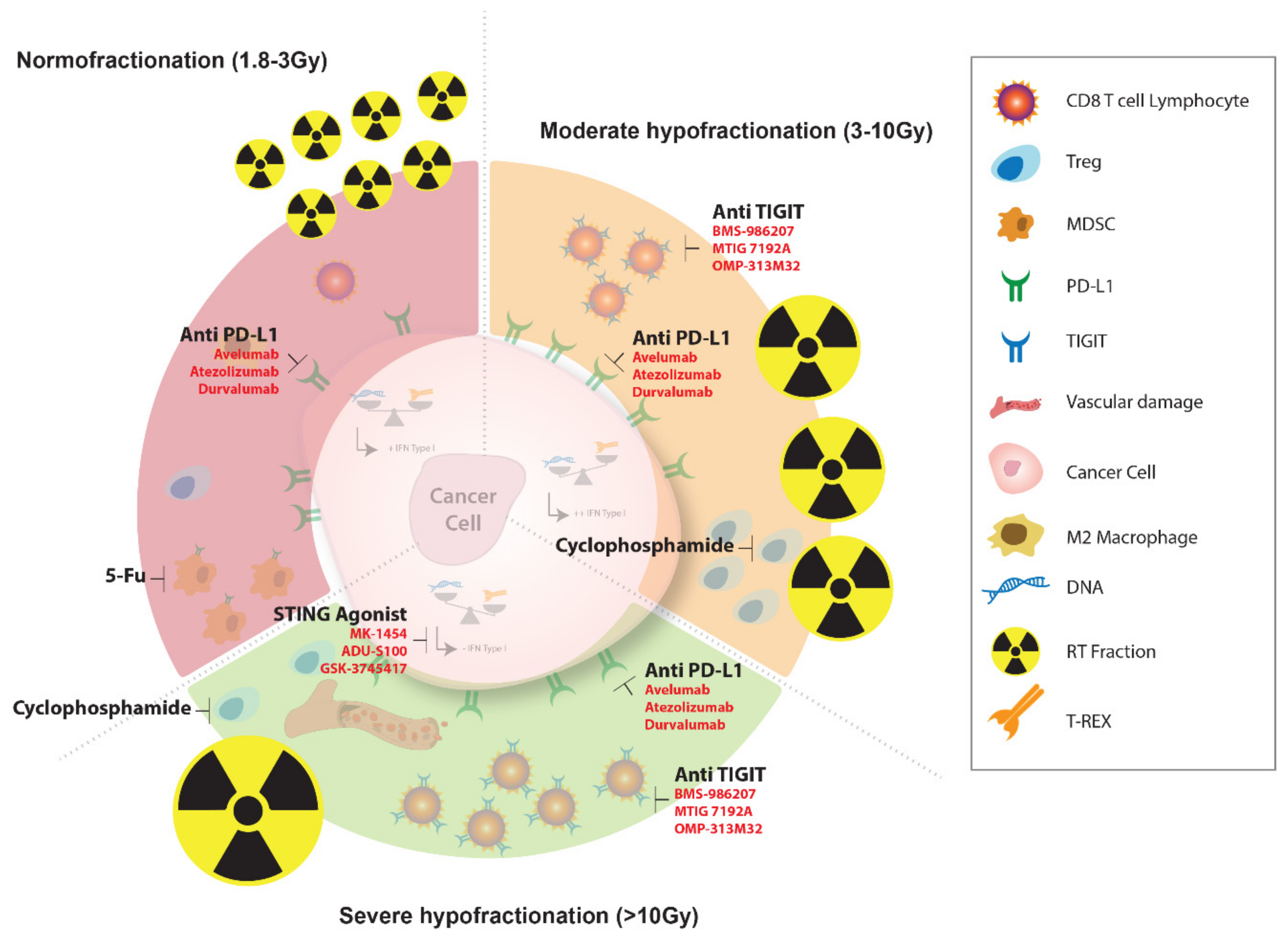 Cancers 11 00860 g003 Cancers 11 00860 g003
