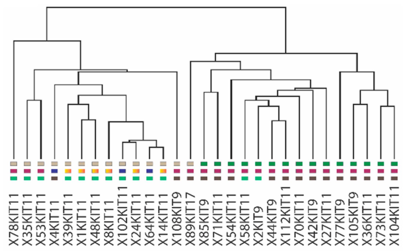 Cancers 11 00882 g003
