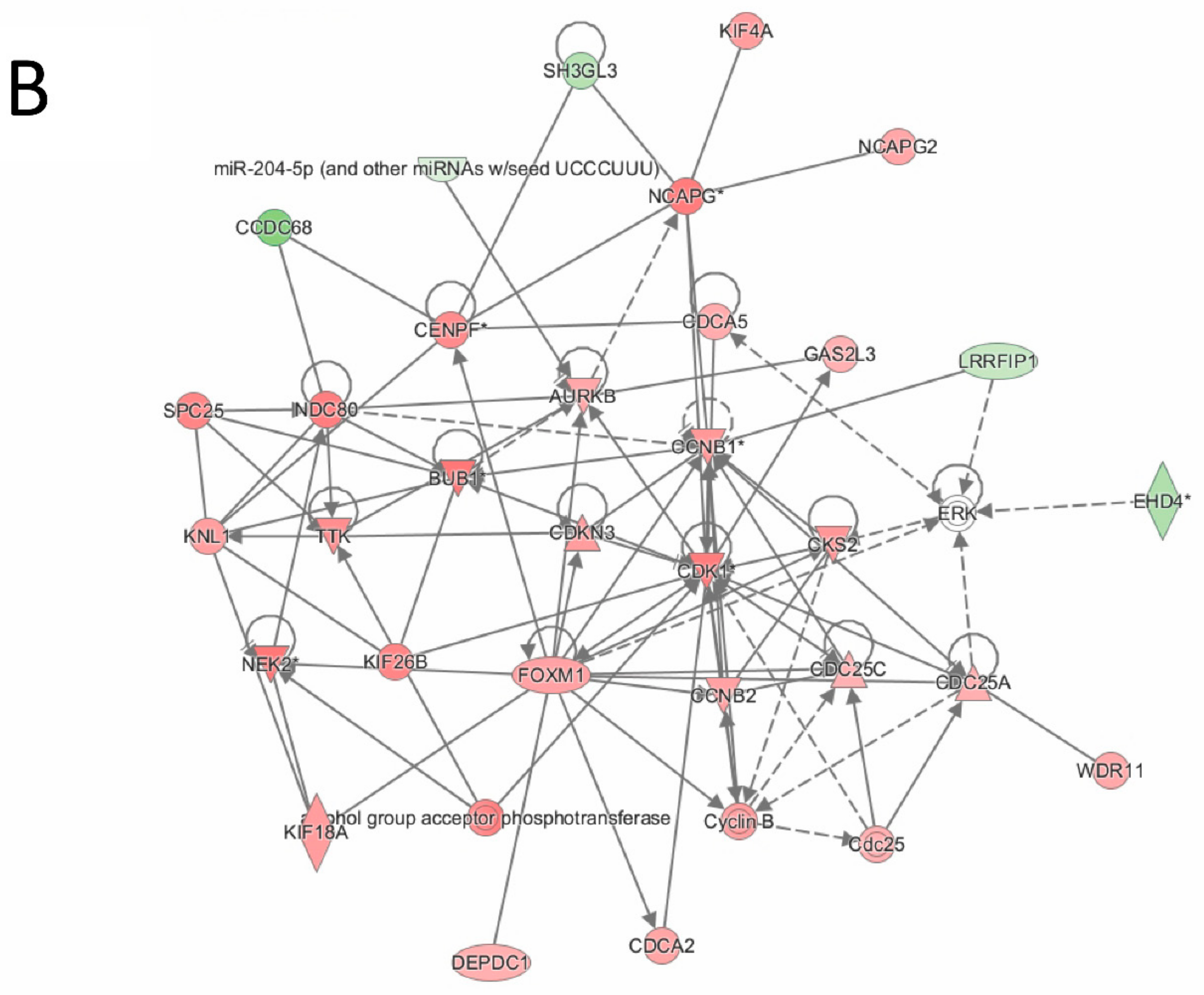 Cancers 11 00882 g004b