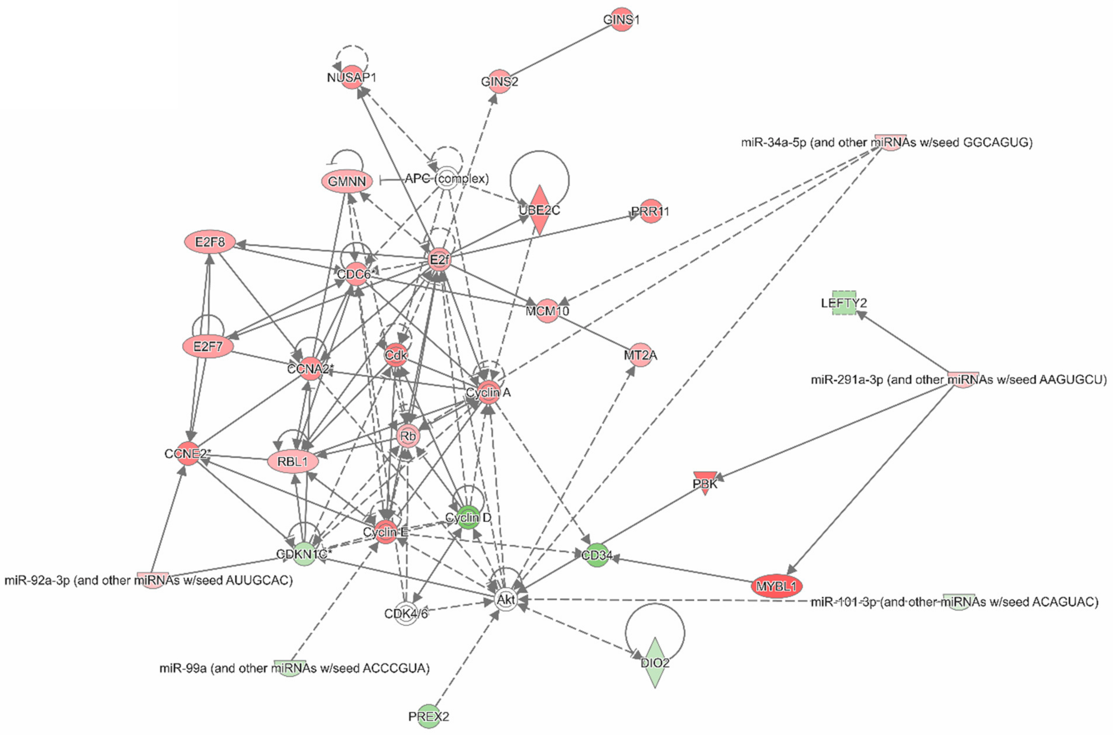 Cancers 11 00882 g005