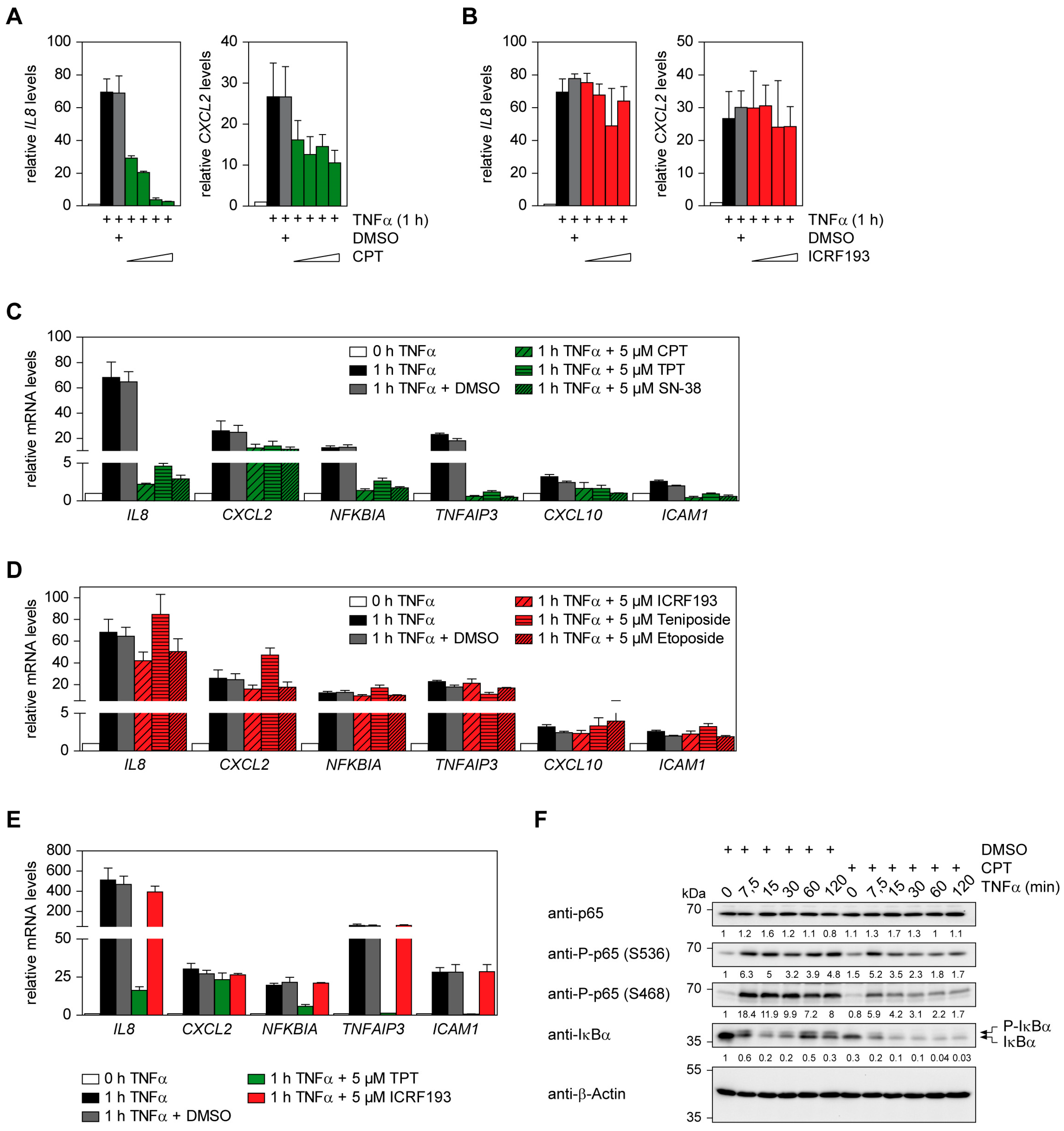 Cancers 11 00883 g001 Cancers 11 00883 g001