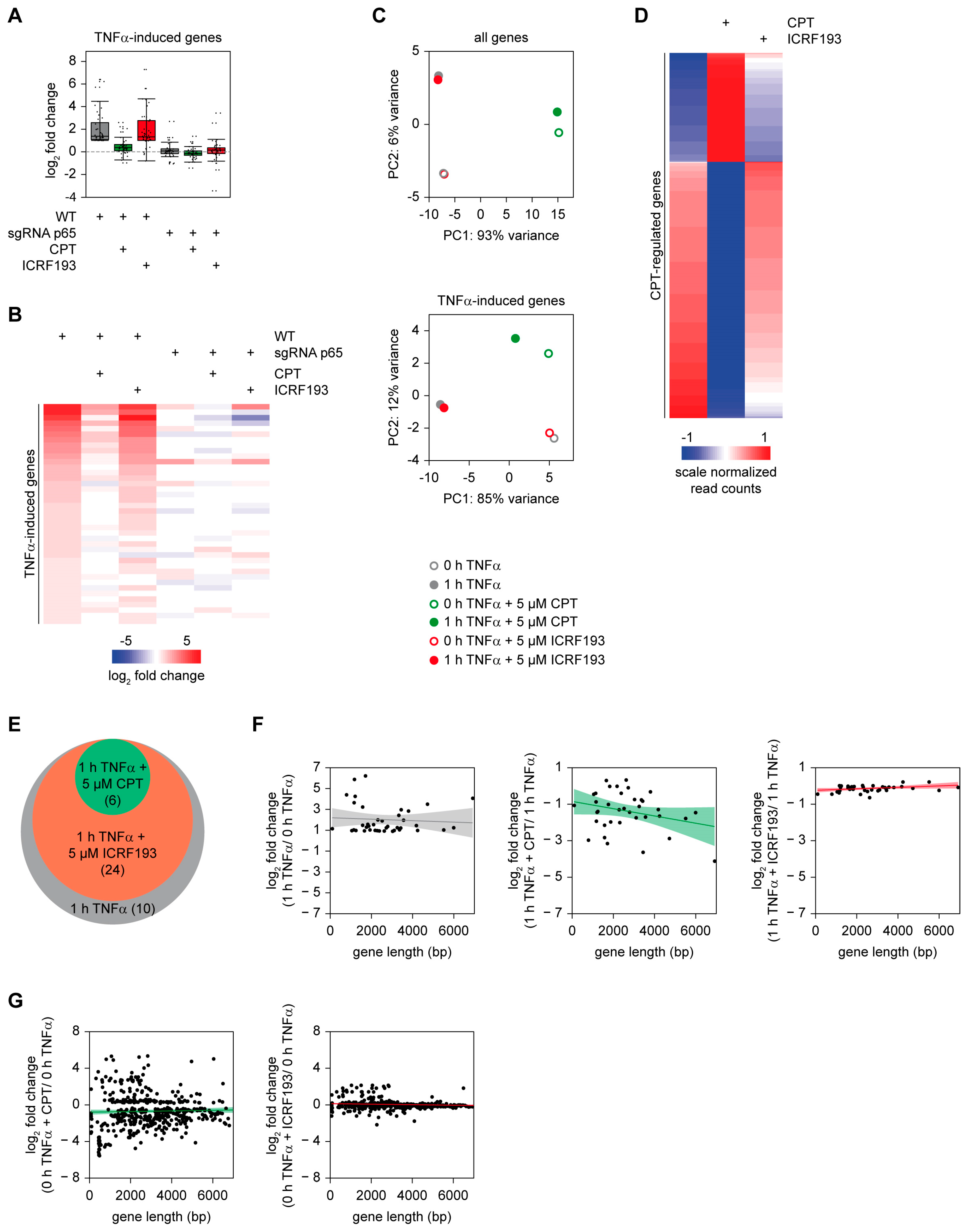 Cancers 11 00883 g002 Cancers 11 00883 g002