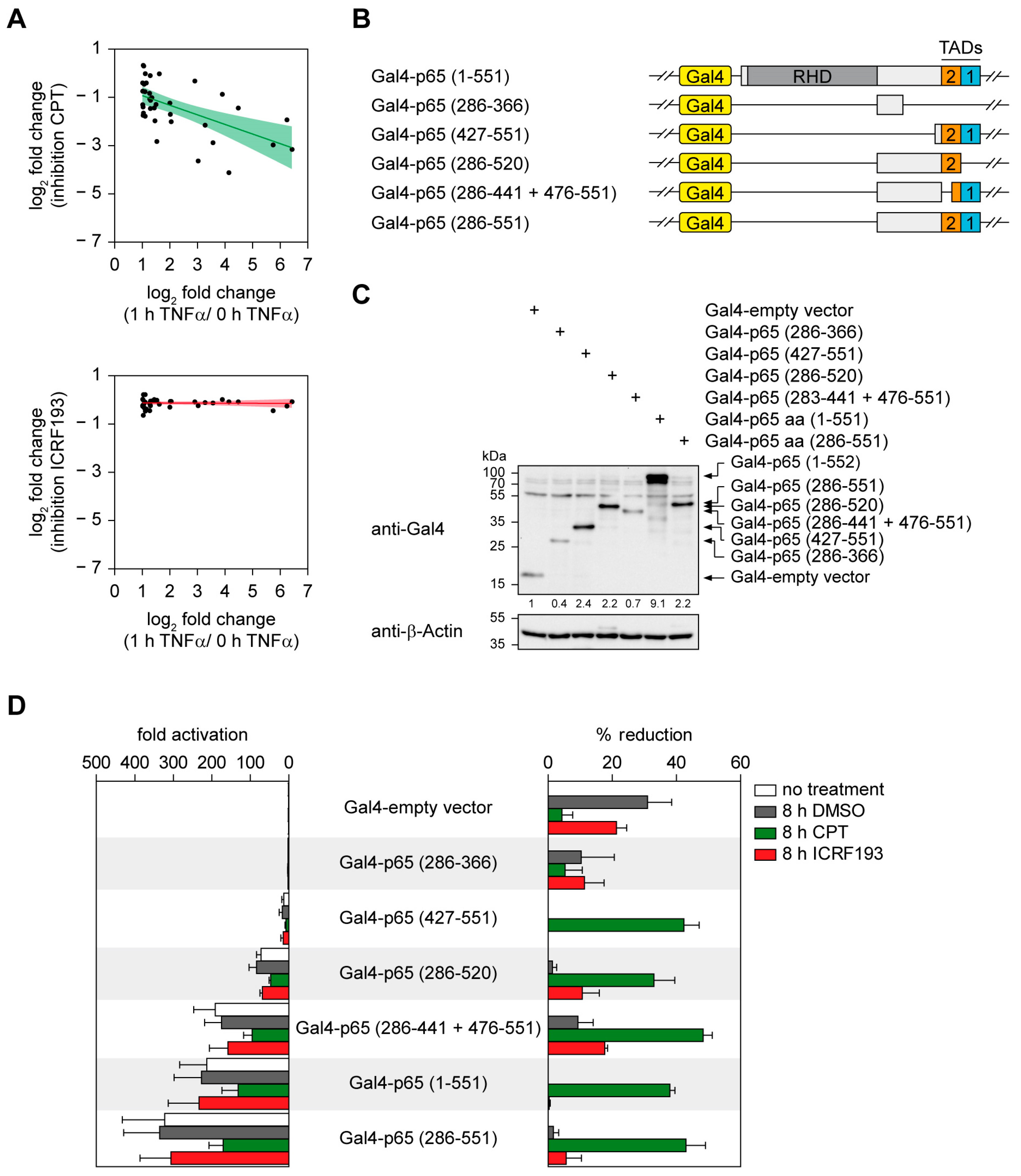 Cancers 11 00883 g003 Cancers 11 00883 g003