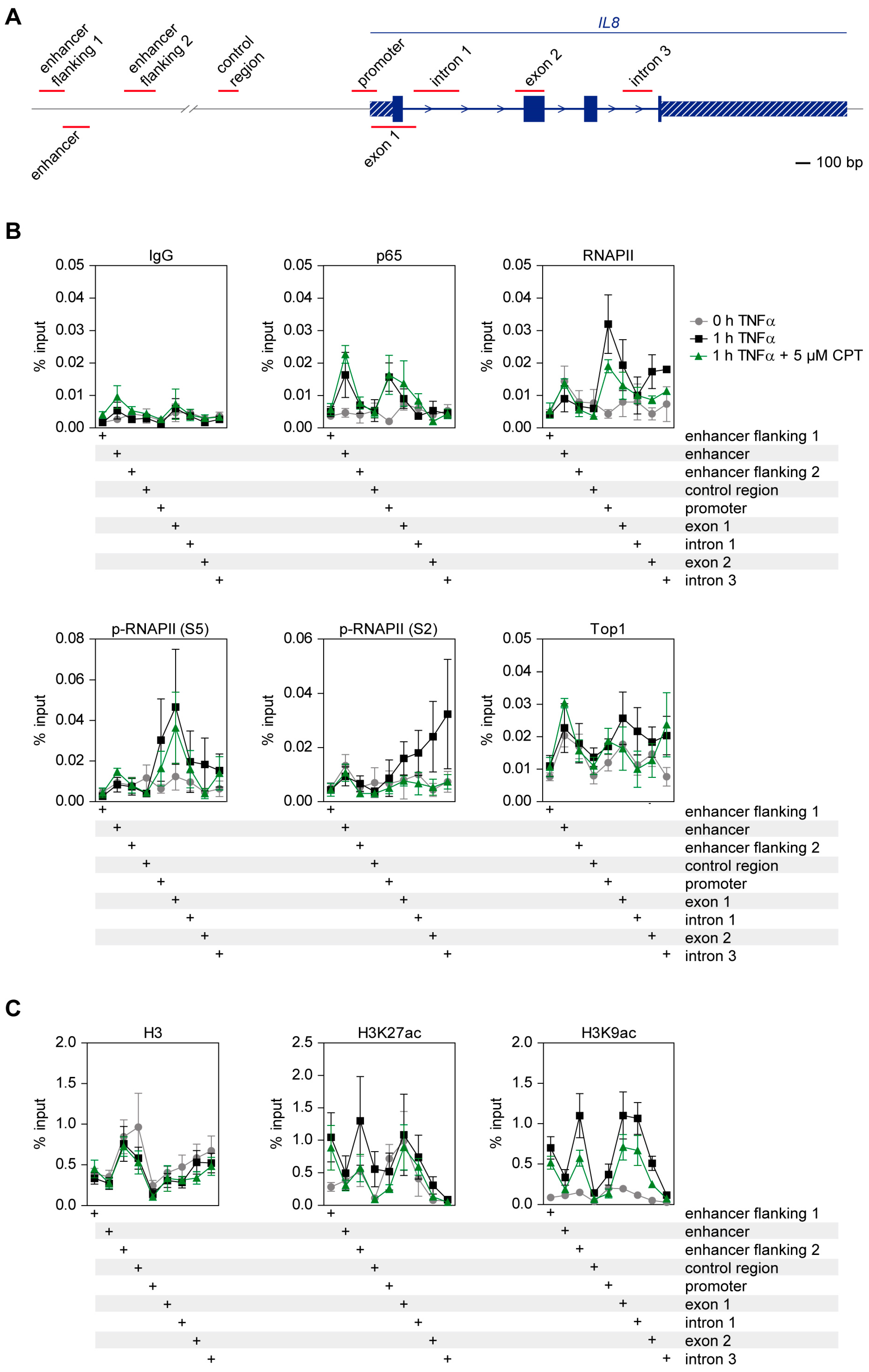 Cancers 11 00883 g006 Cancers 11 00883 g006