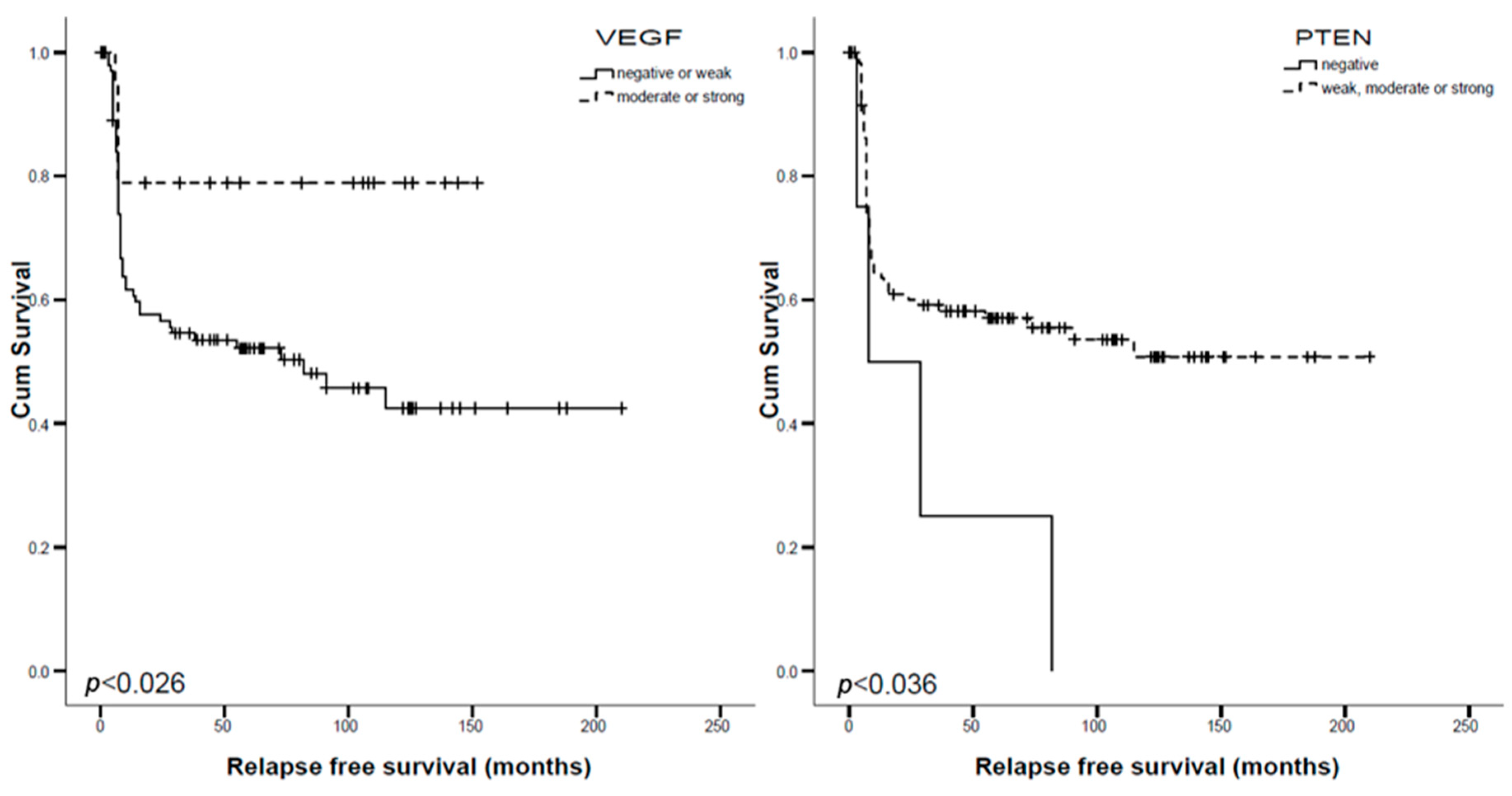 Cancers 11 00885 g002 Cancers 11 00885 g002