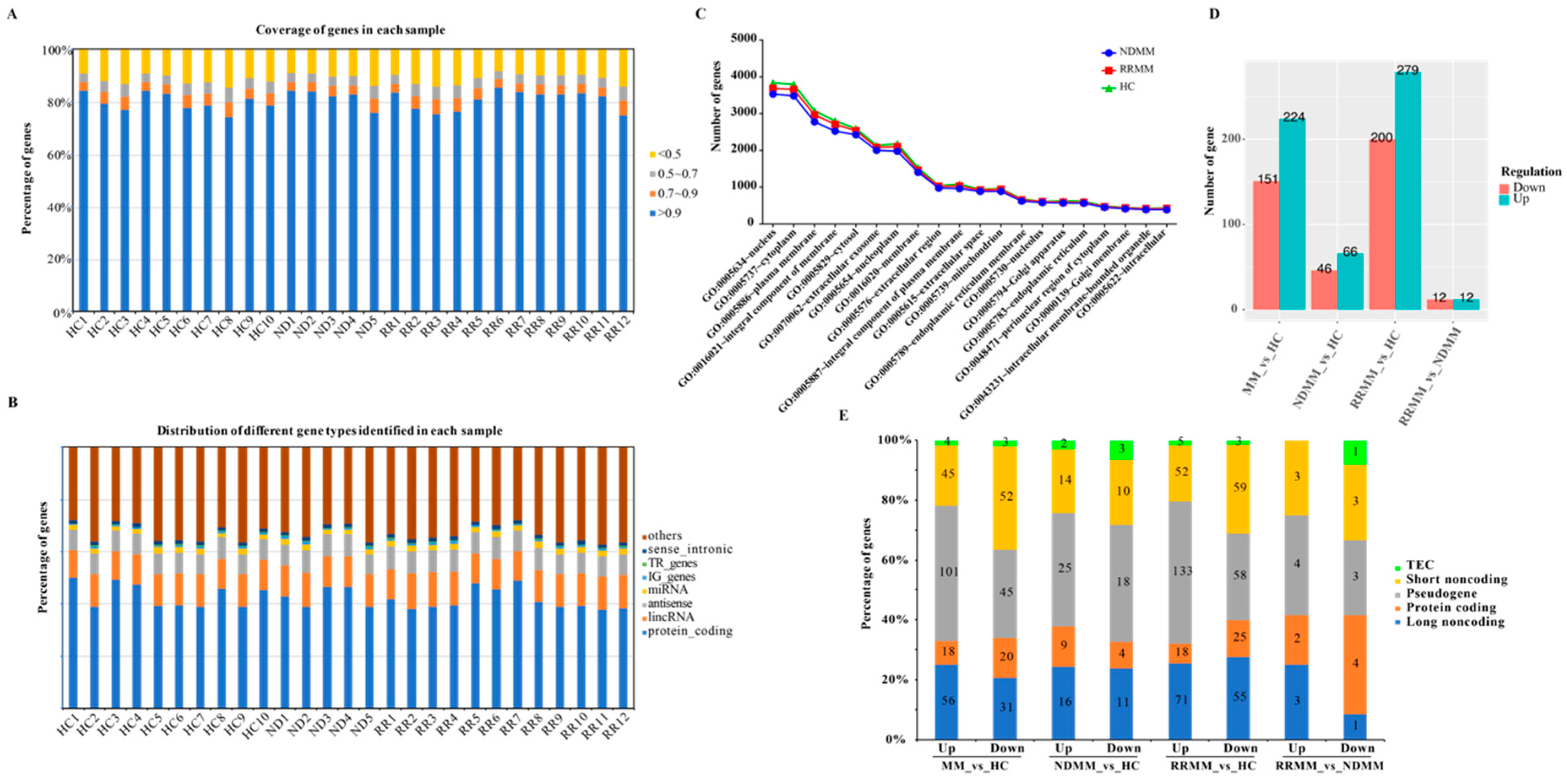 Cancers 11 00887 g001 Cancers 11 00887 g001