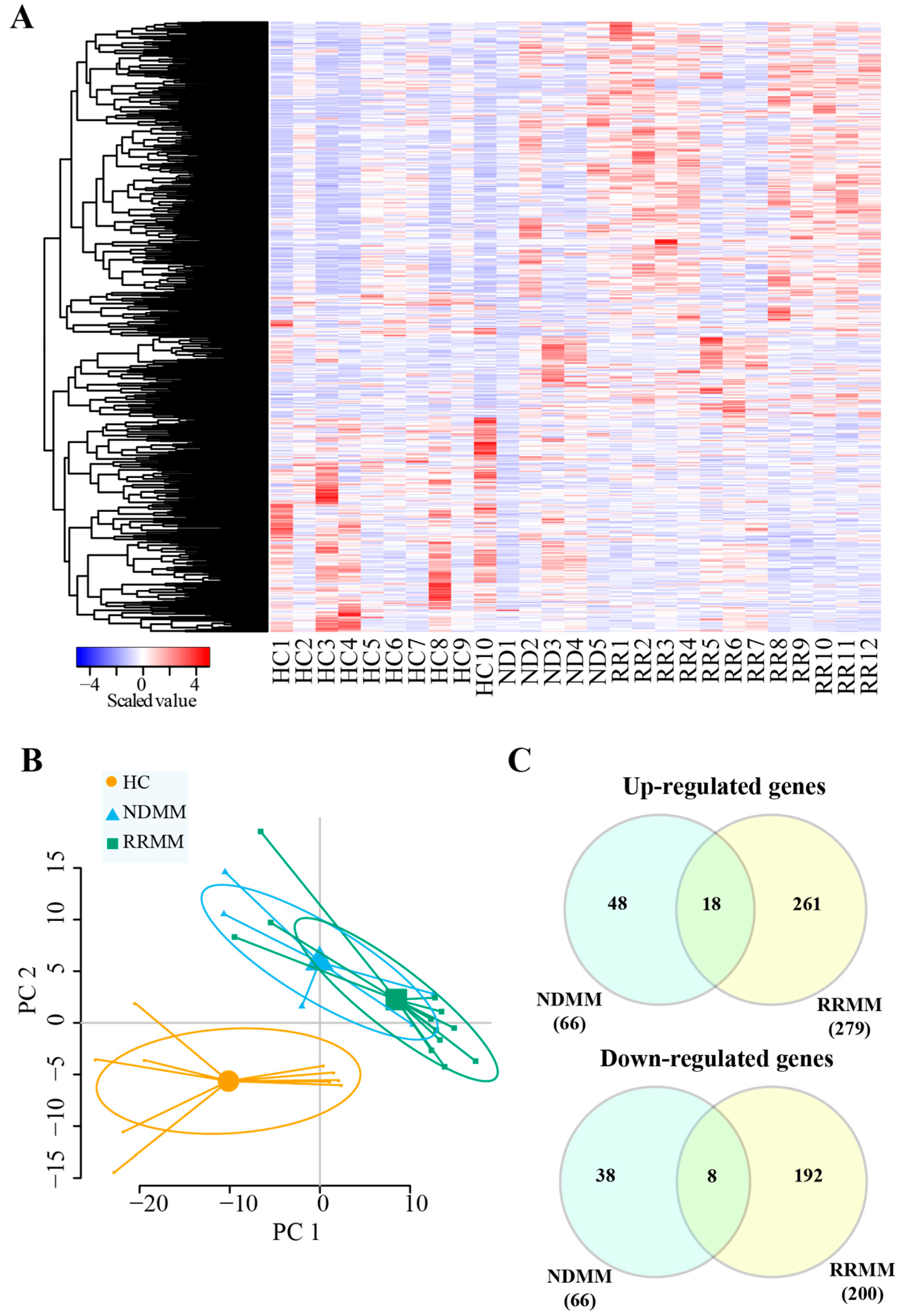 Cancers 11 00887 g002 Cancers 11 00887 g002