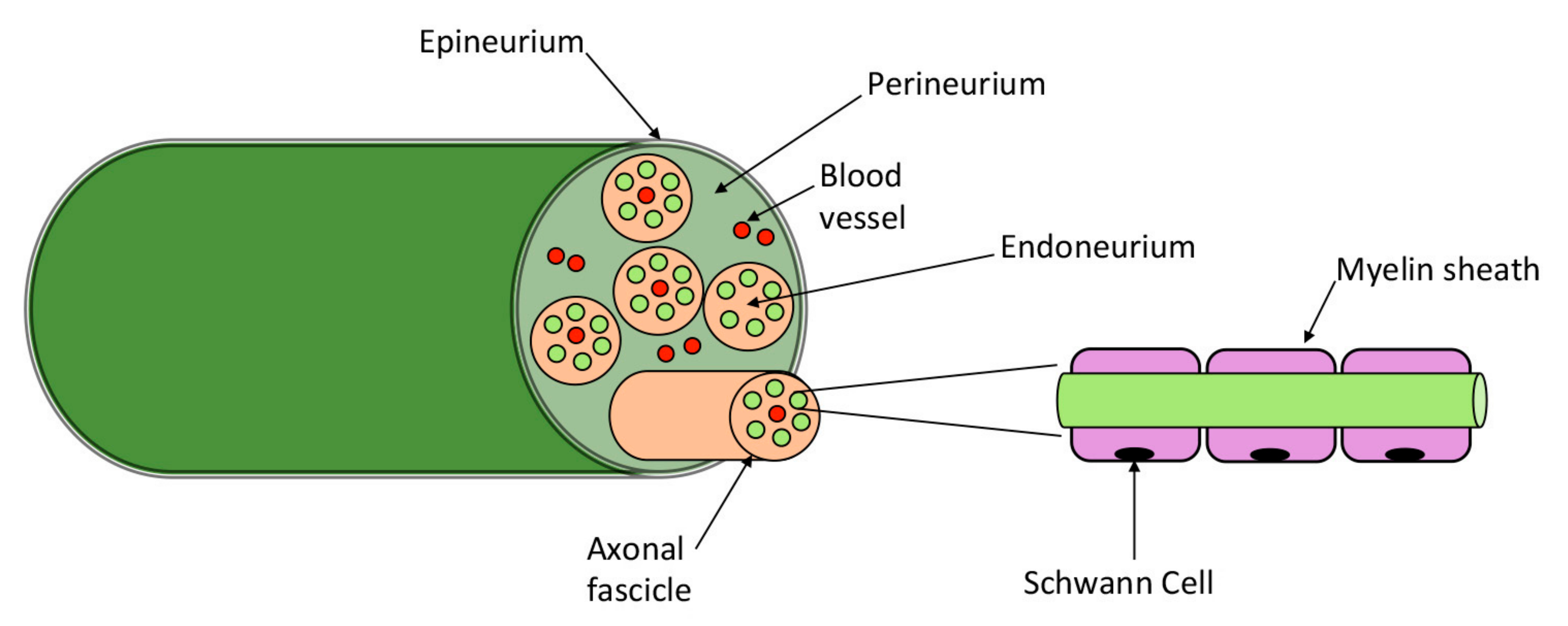 Cancers 11 00893 g002 Cancers 11 00893 g002