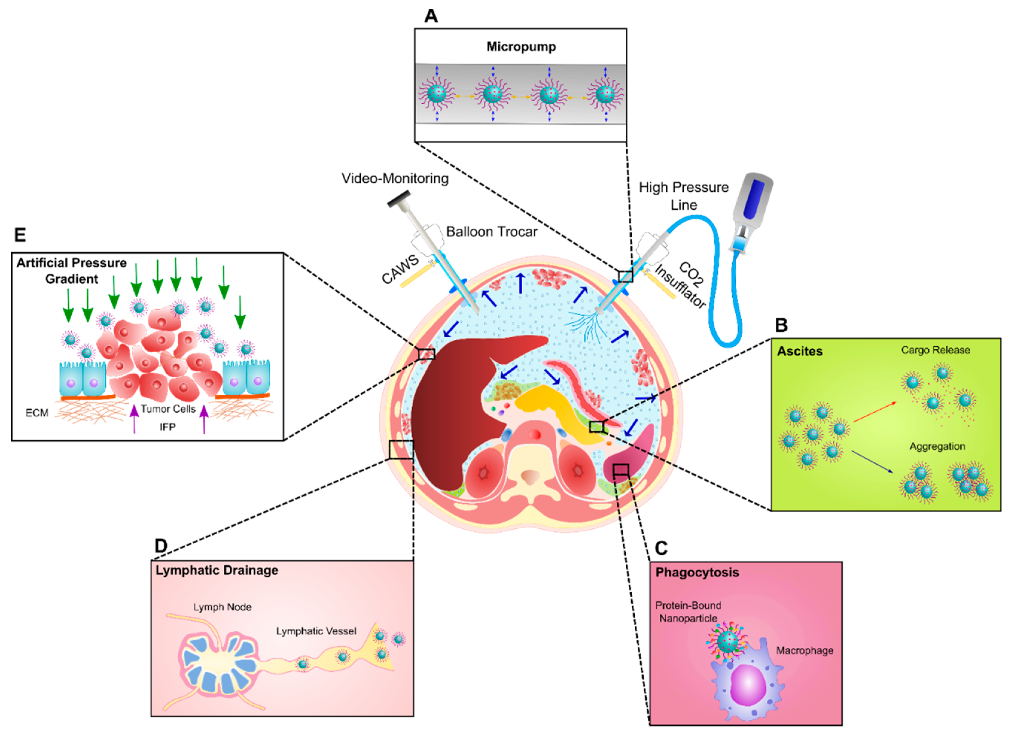 Cancers 11 00906 g002 Cancers 11 00906 g002