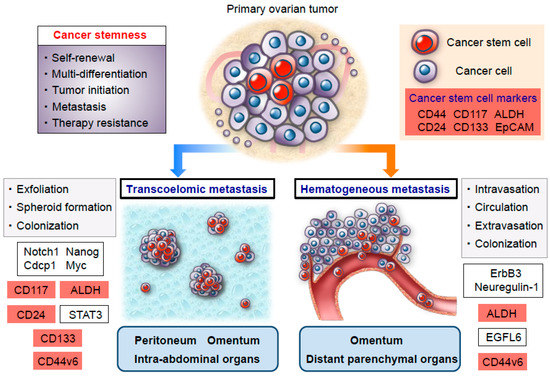 Cancers 11 00907 g001 550