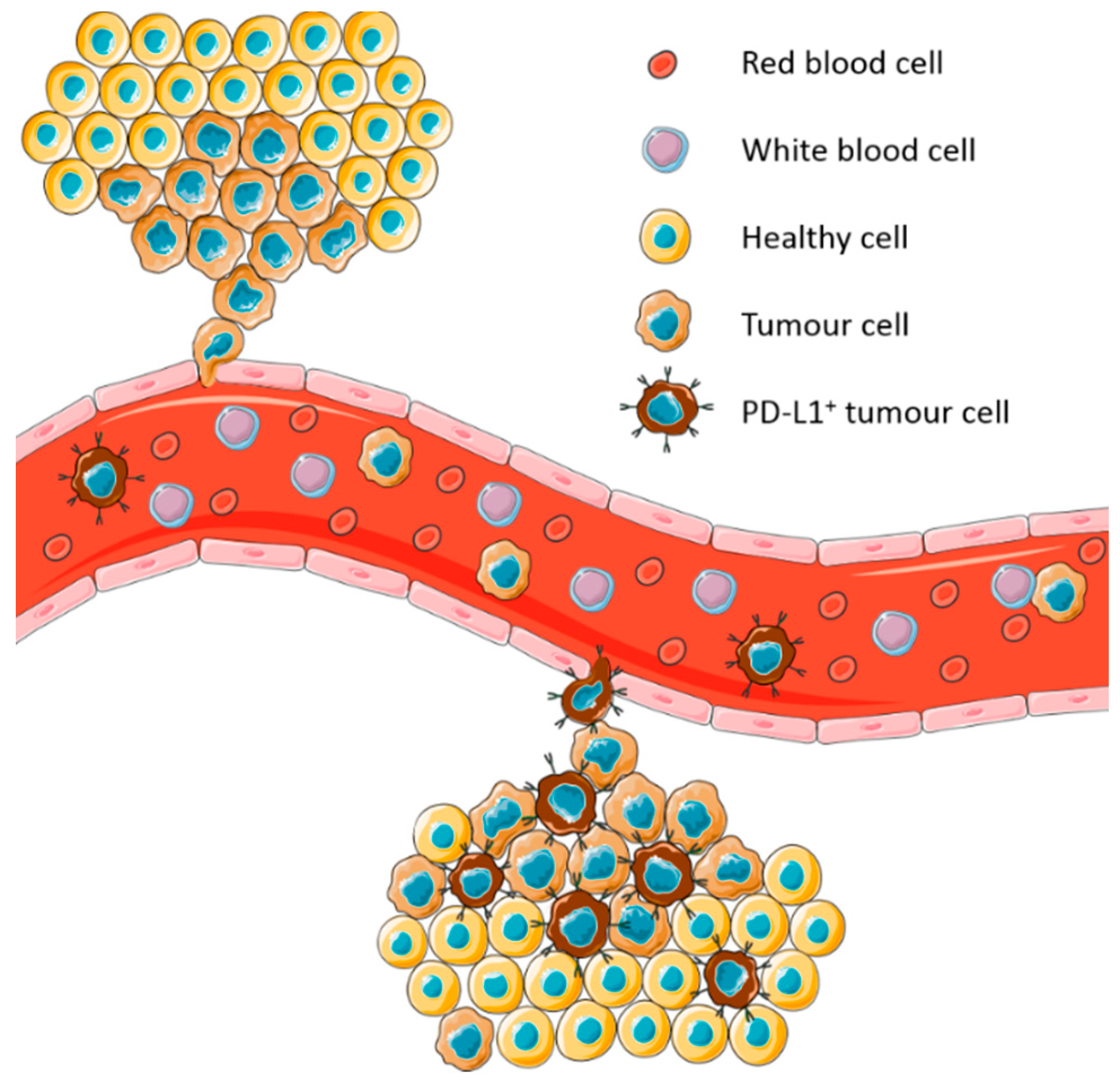 Cancers 11 00920 g001 Cancers 11 00920 g001