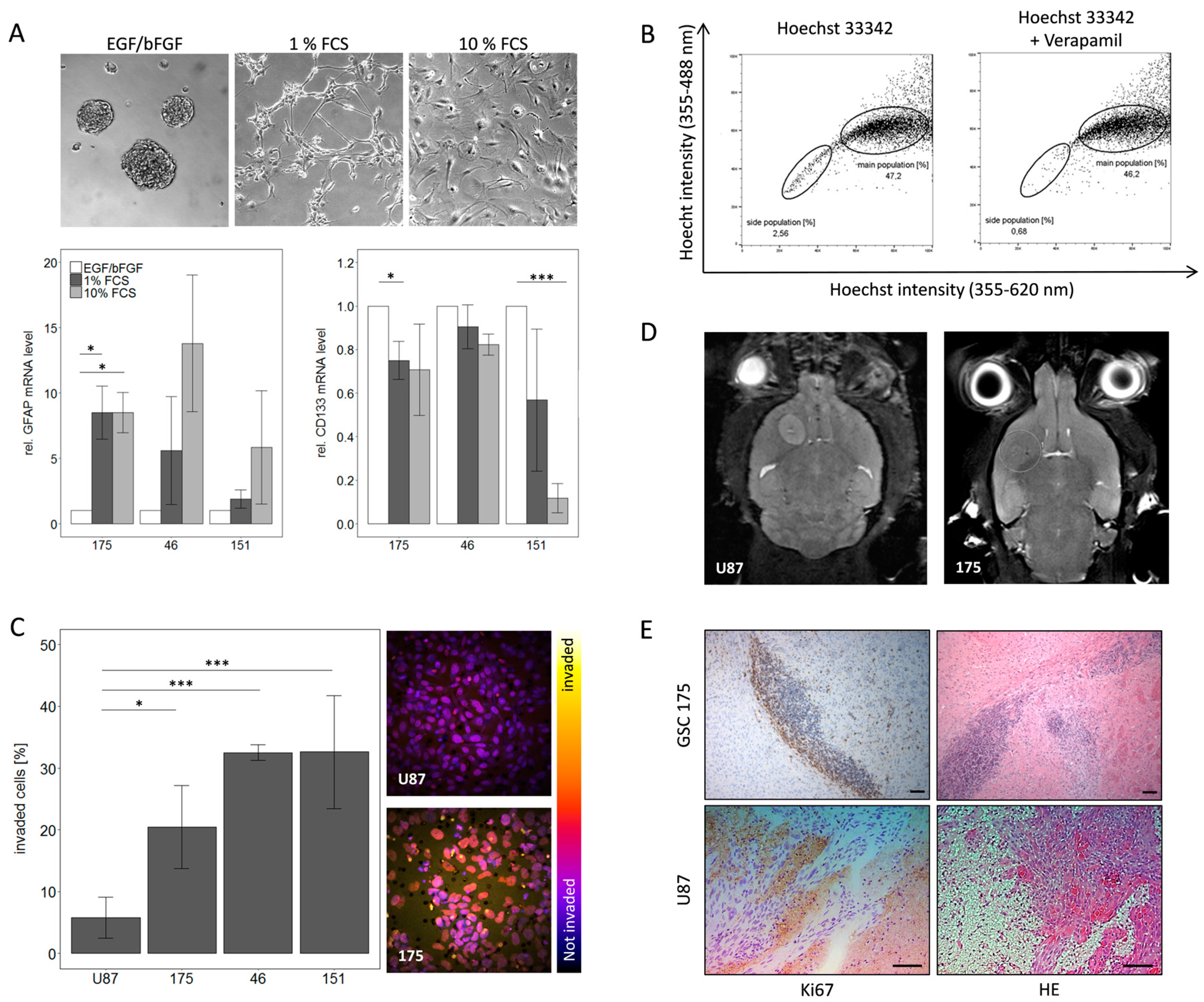 Cancers 11 00921 g001
