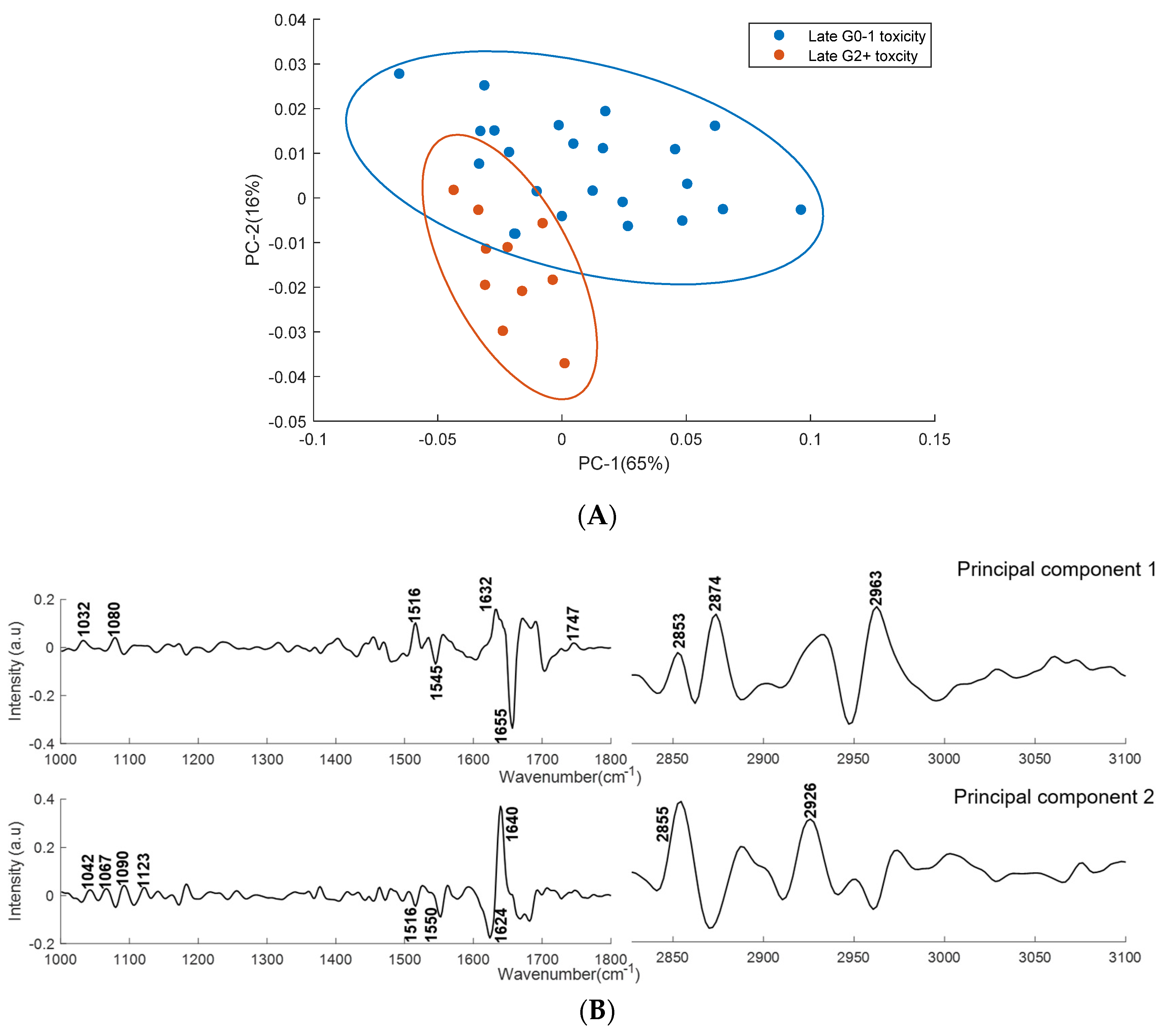 Cancers 11 00925 g008