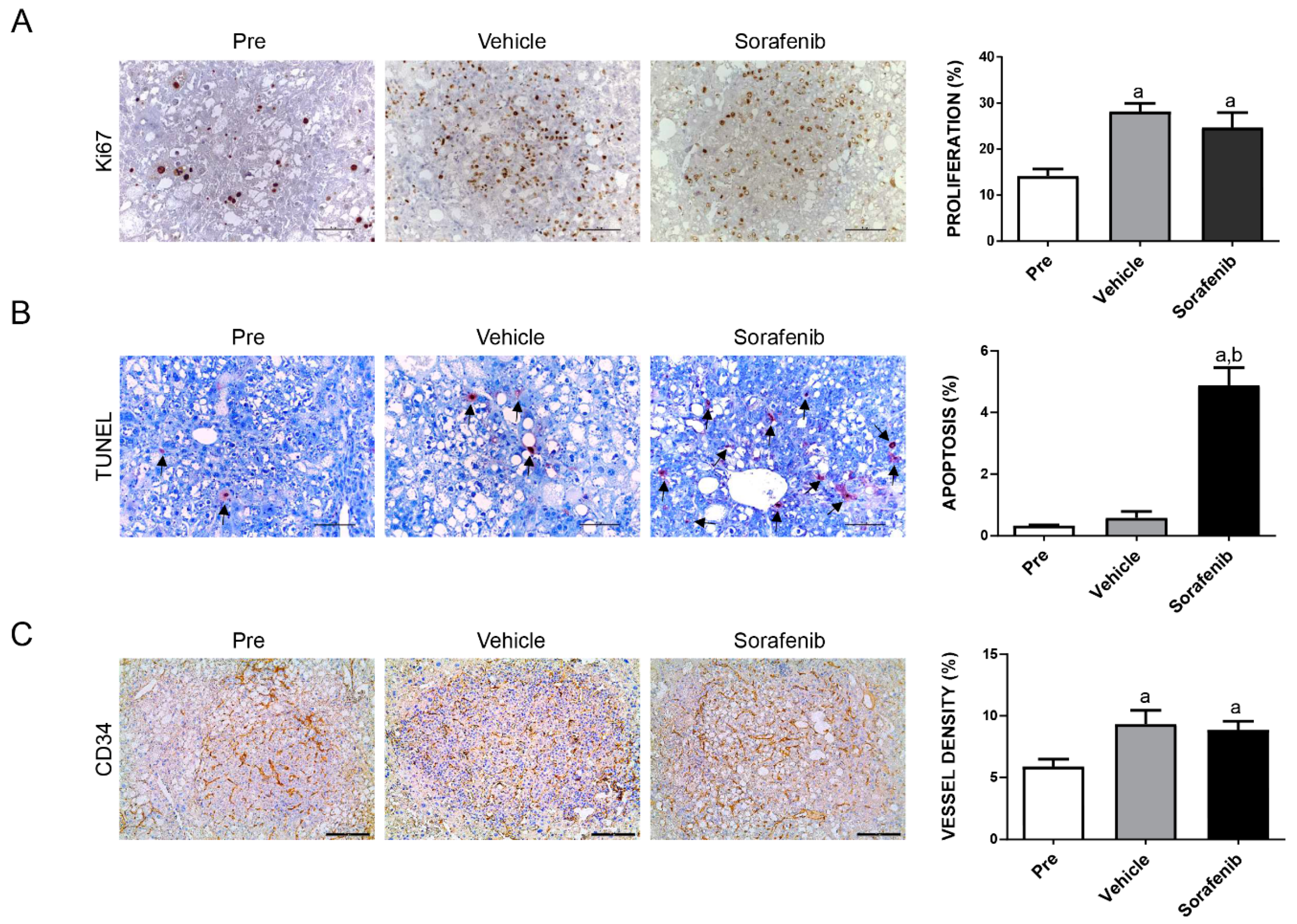 Cancers 11 00930 g002