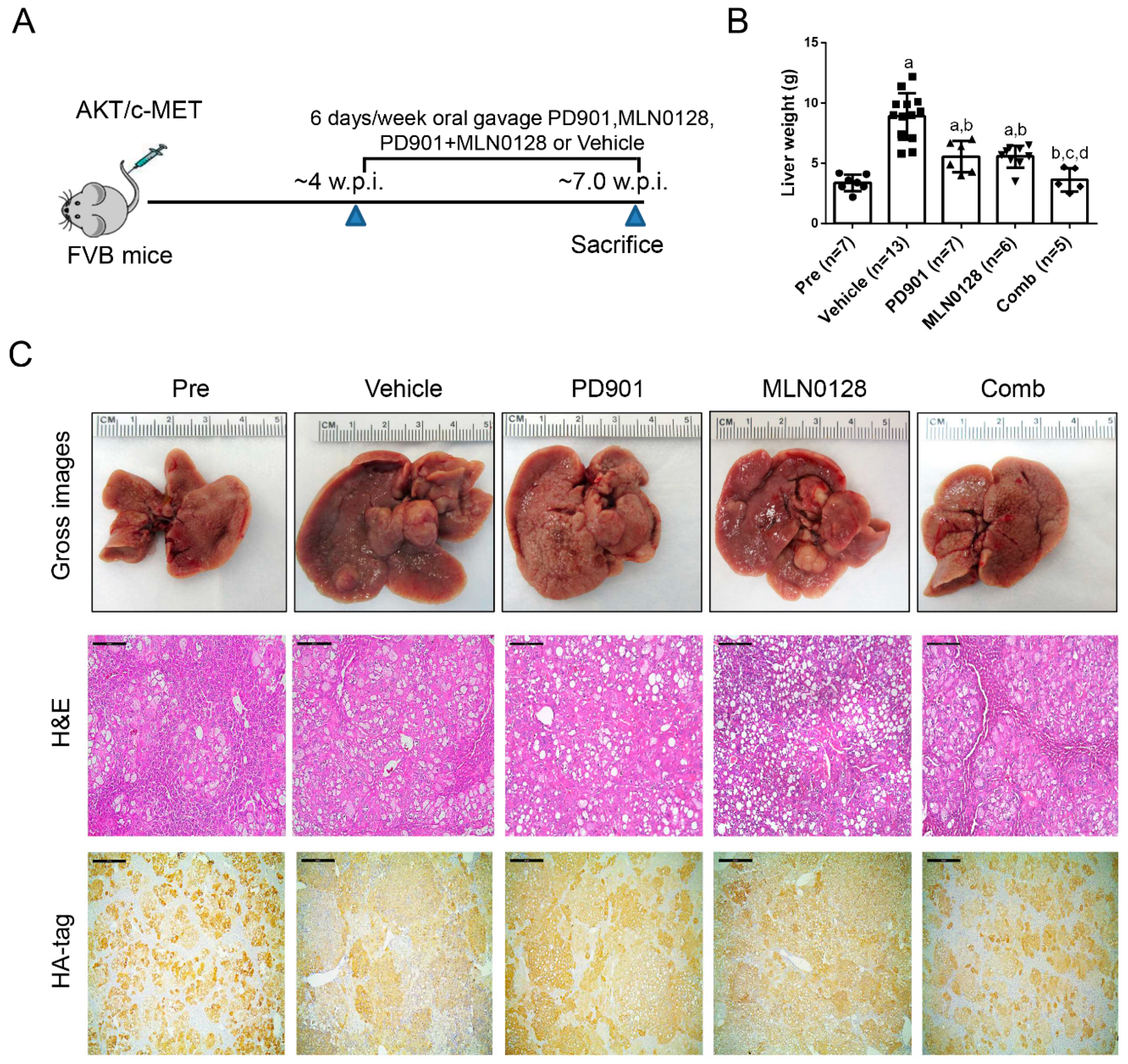 Cancers 11 00930 g007