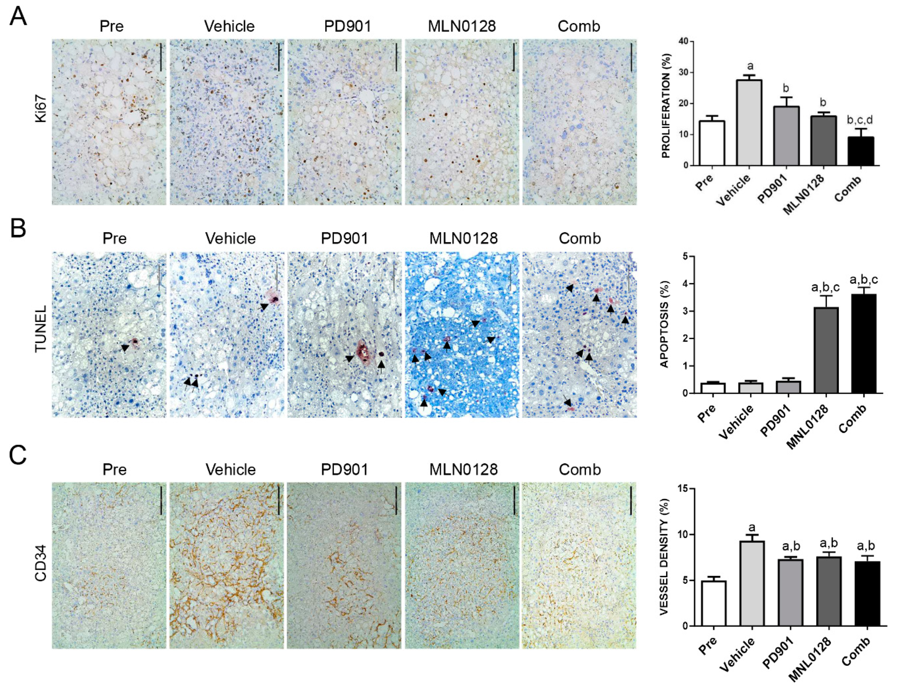 Cancers 11 00930 g008
