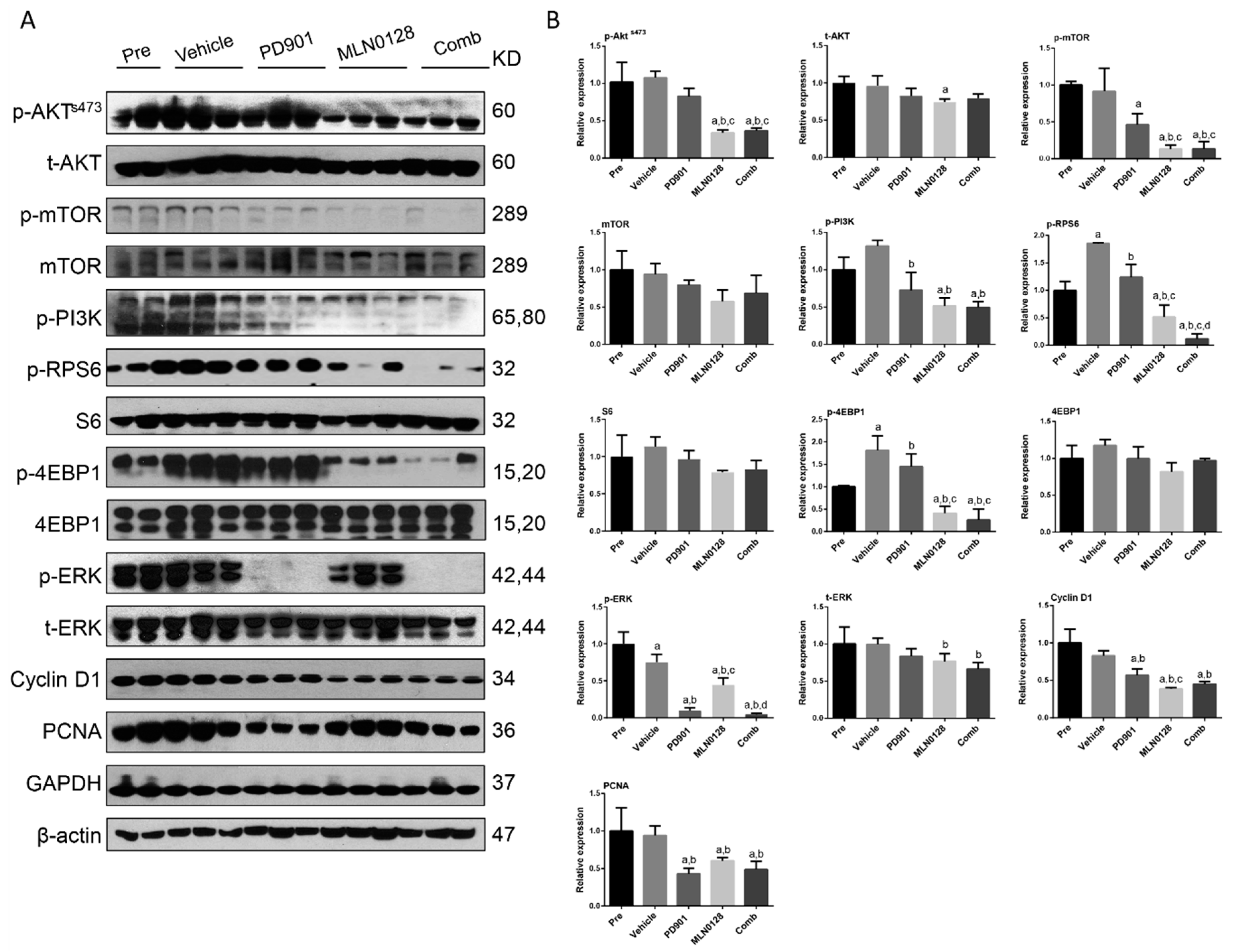 Cancers 11 00930 g009