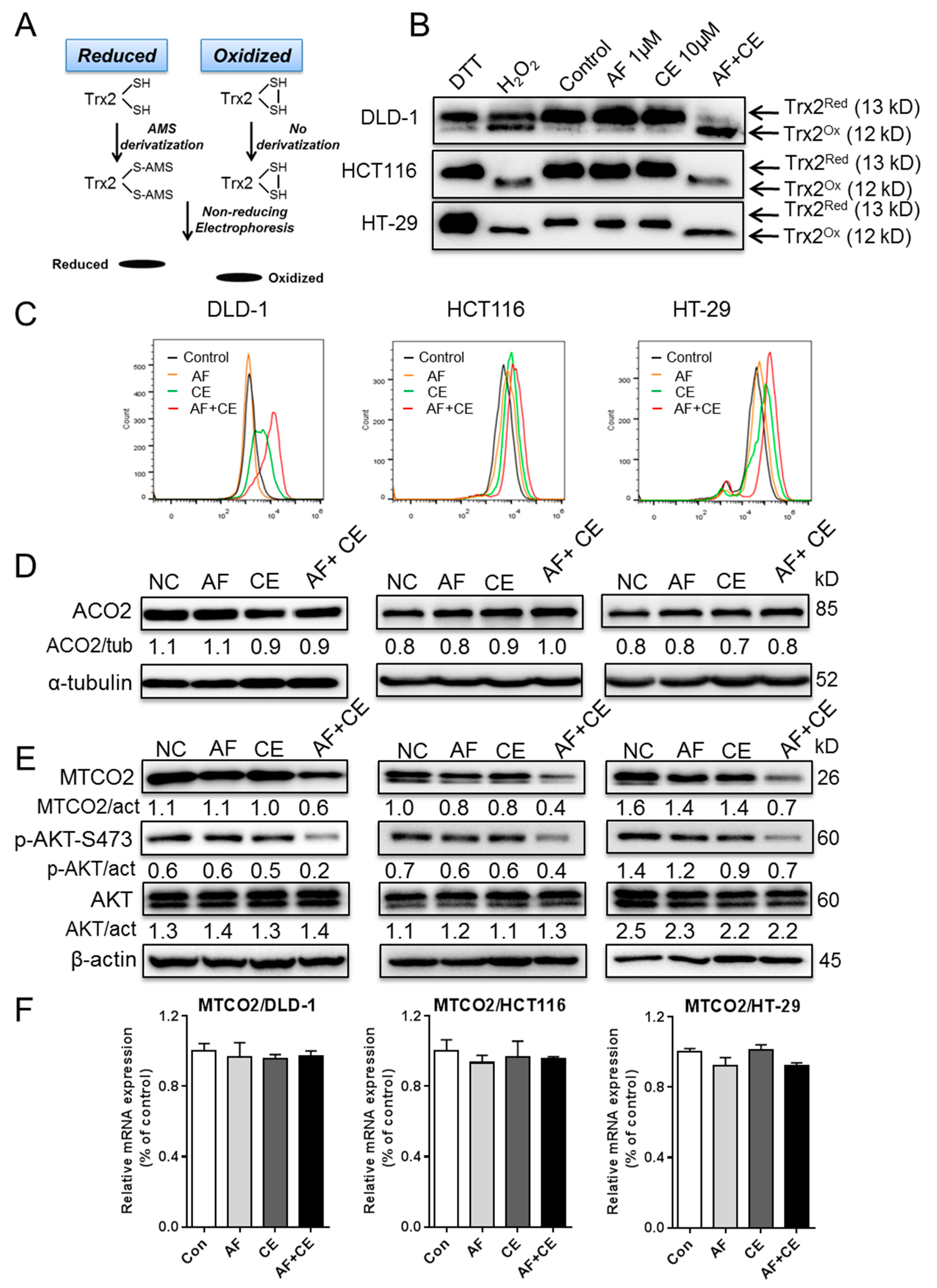 Cancers 11 00931 g005