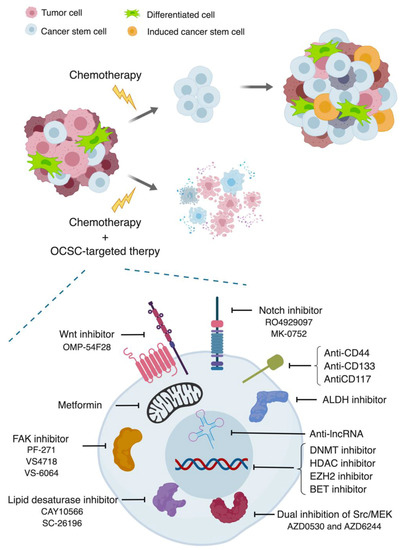 Ovarian Cancer Stem Cells: Role in Metastasis and Opportunity for ...