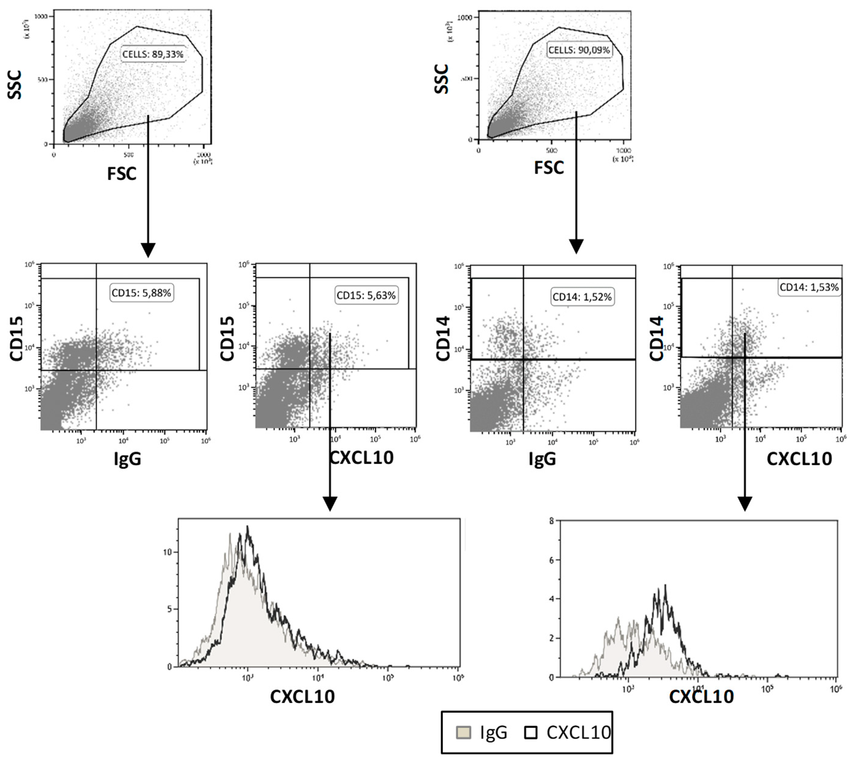 Cancers 11 00940 g005 Cancers 11 00940 g005