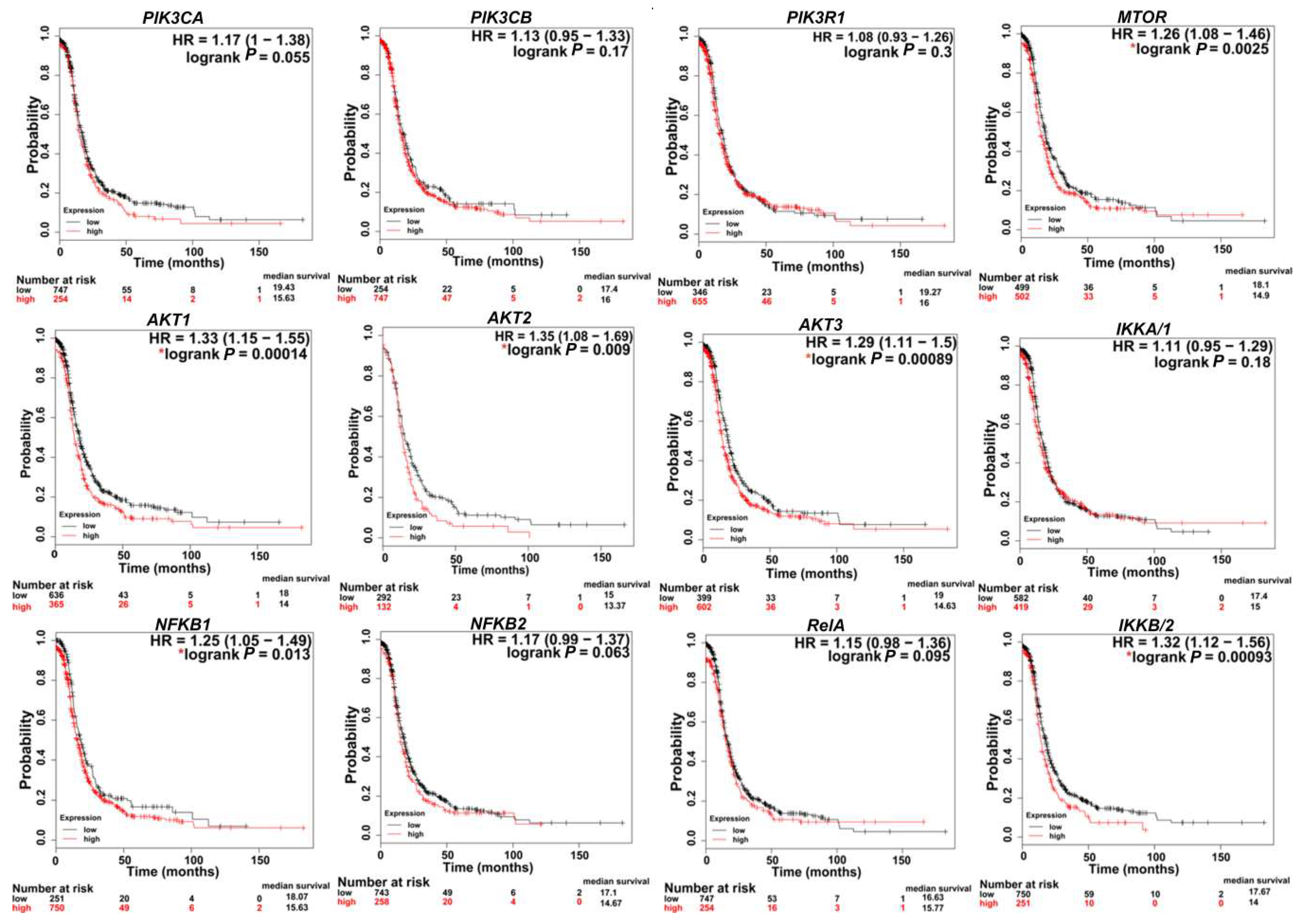 Cancers 11 00949 g003