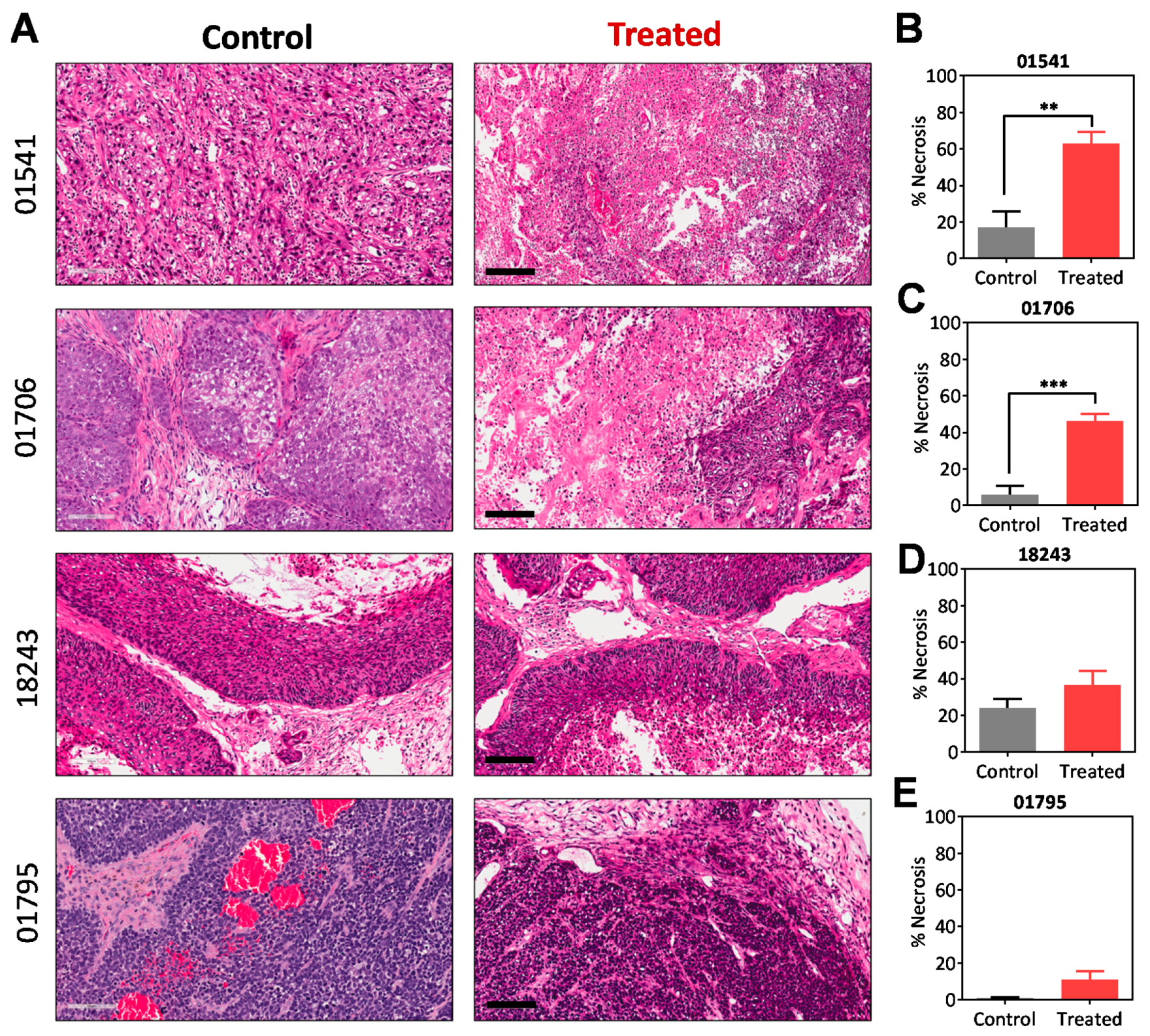 Cancers 11 00951 g004 Cancers 11 00951 g004