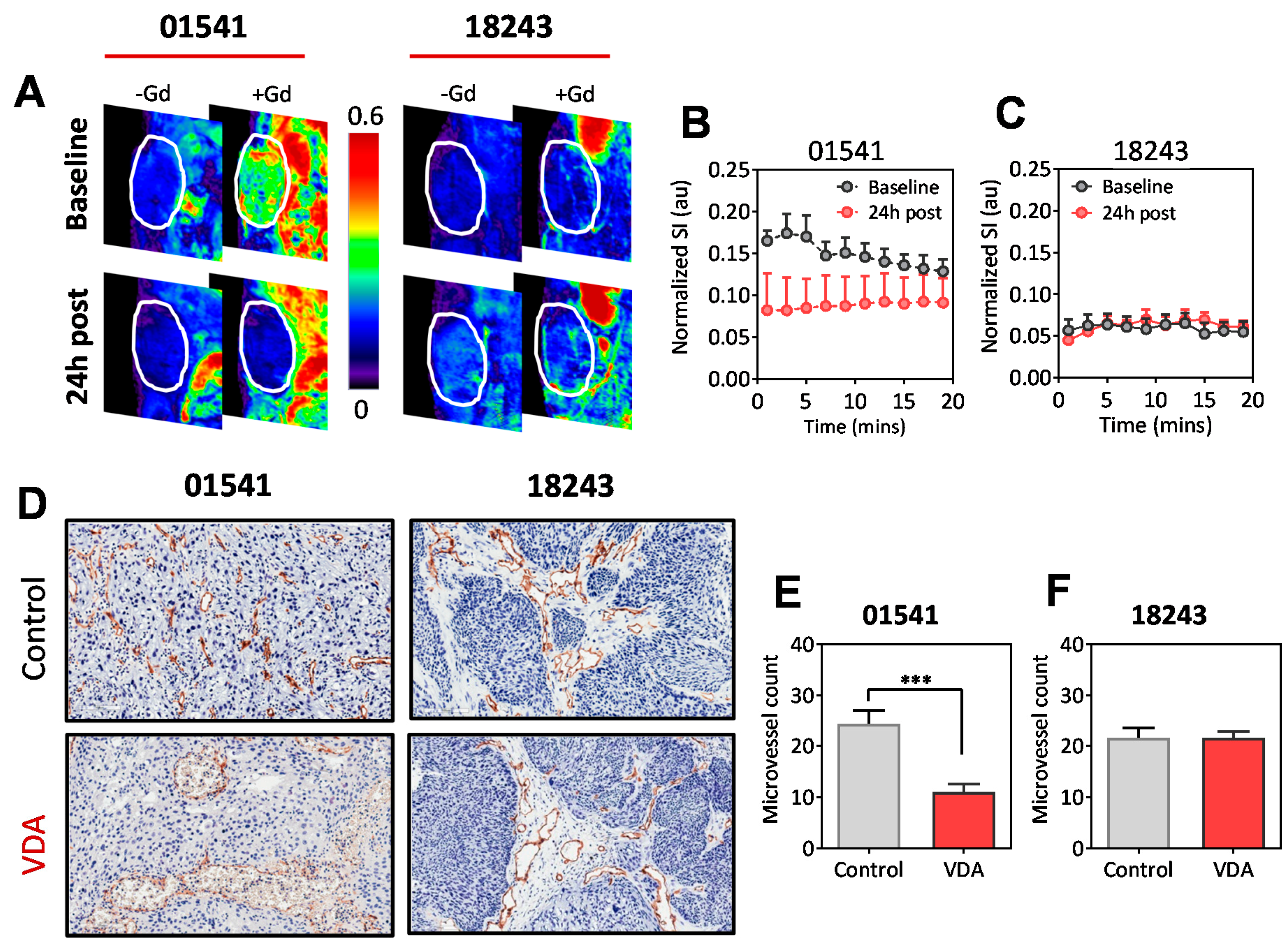 Cancers 11 00951 g006 Cancers 11 00951 g006