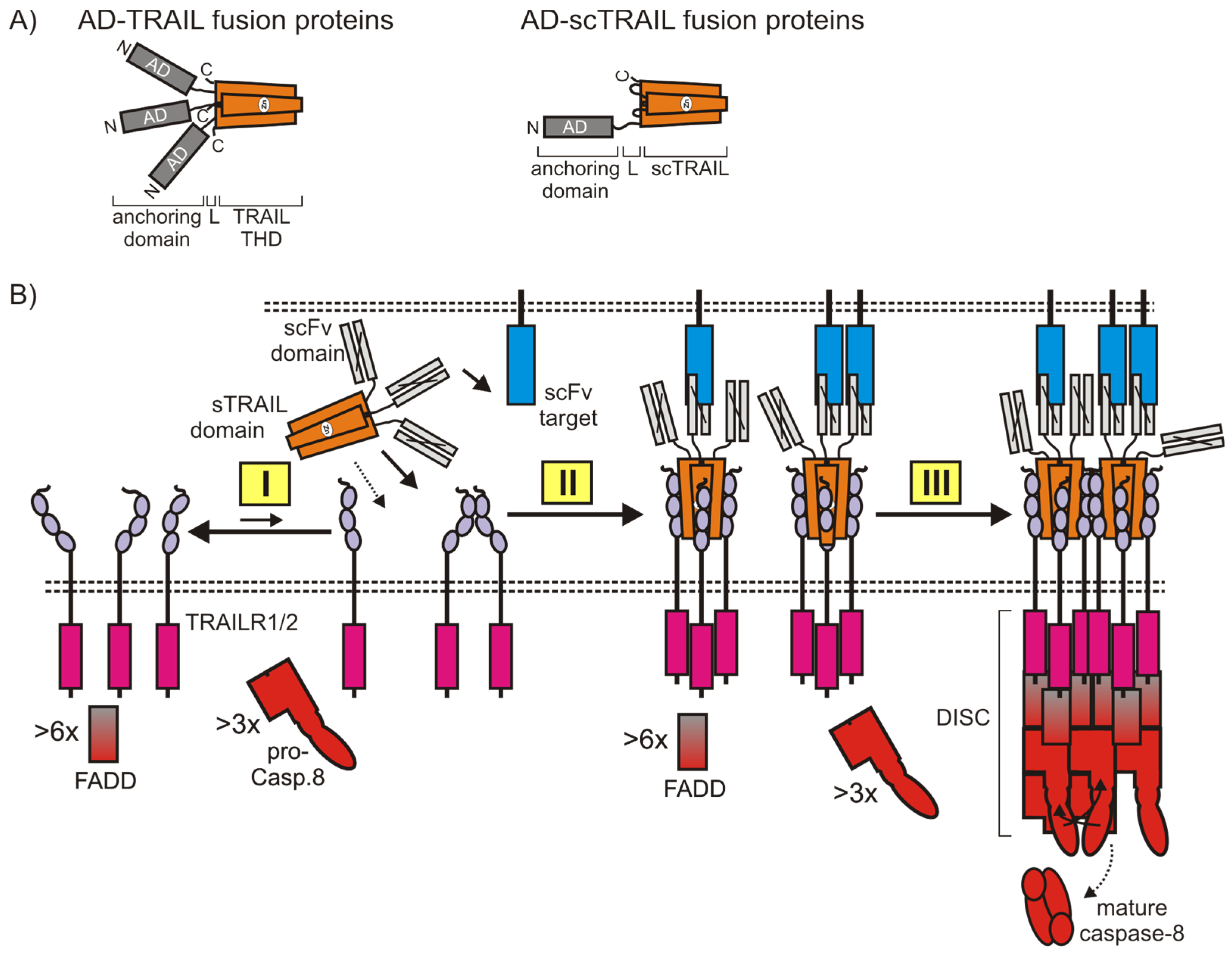 Cancers 11 00954 g006