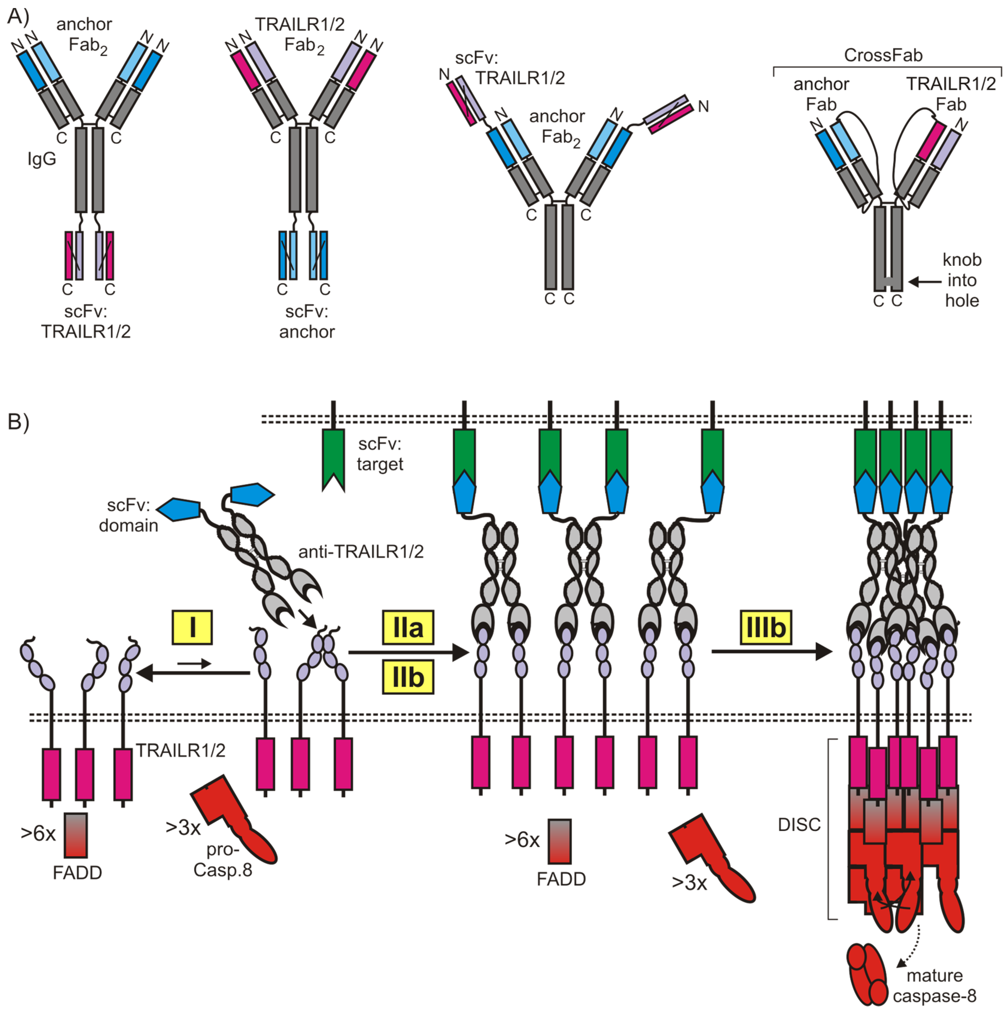 Cancers 11 00954 g007