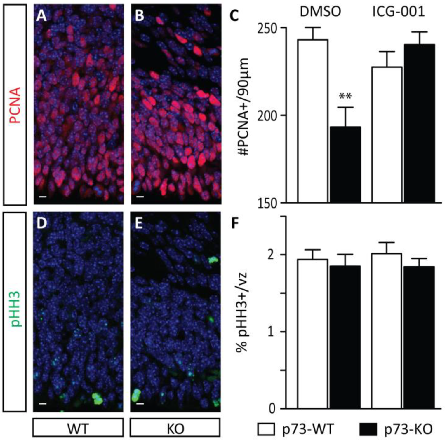 Cancers 11 00962 g002 Cancers 11 00962 g002