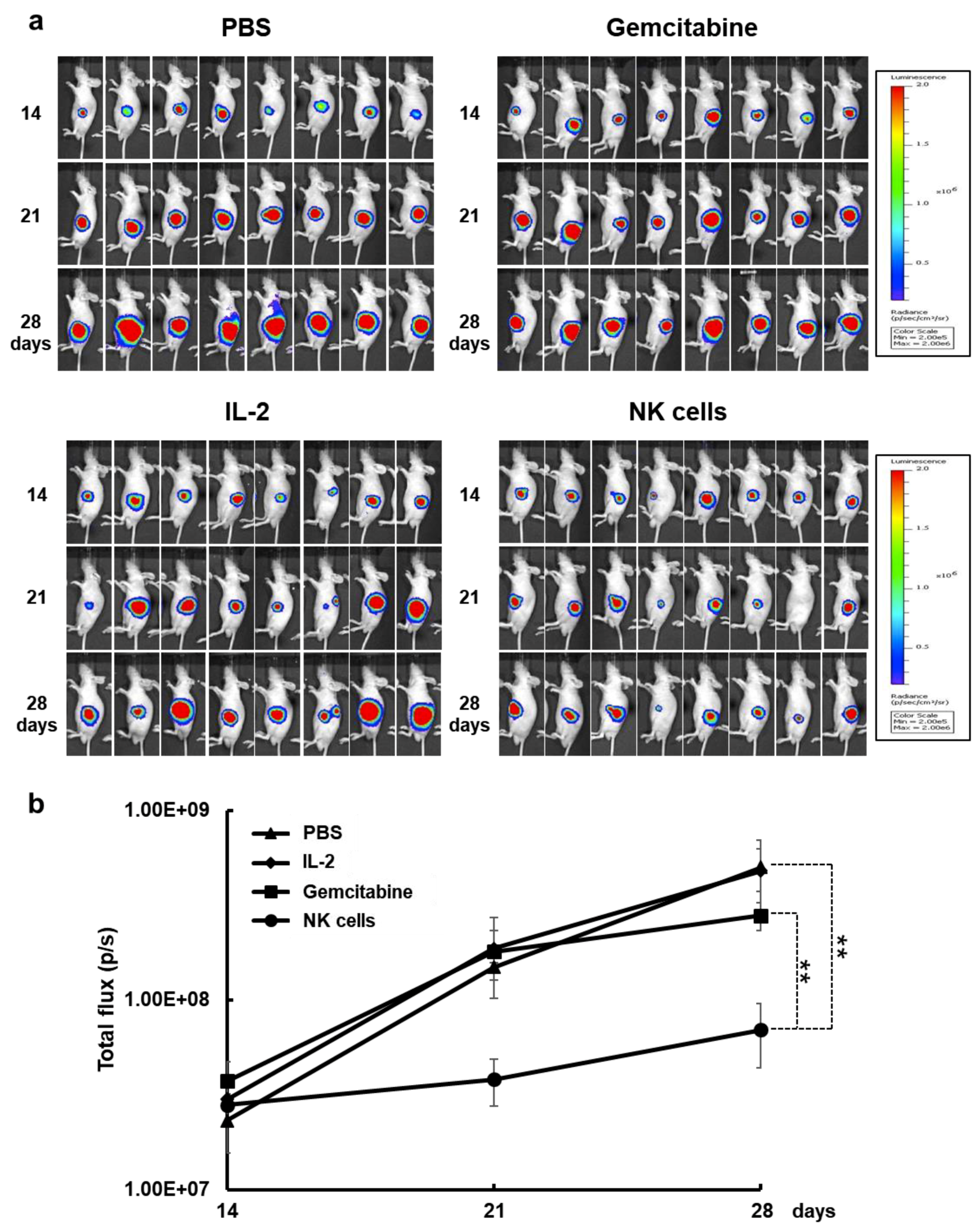 Cancers 11 00966 g006 Cancers 11 00966 g006