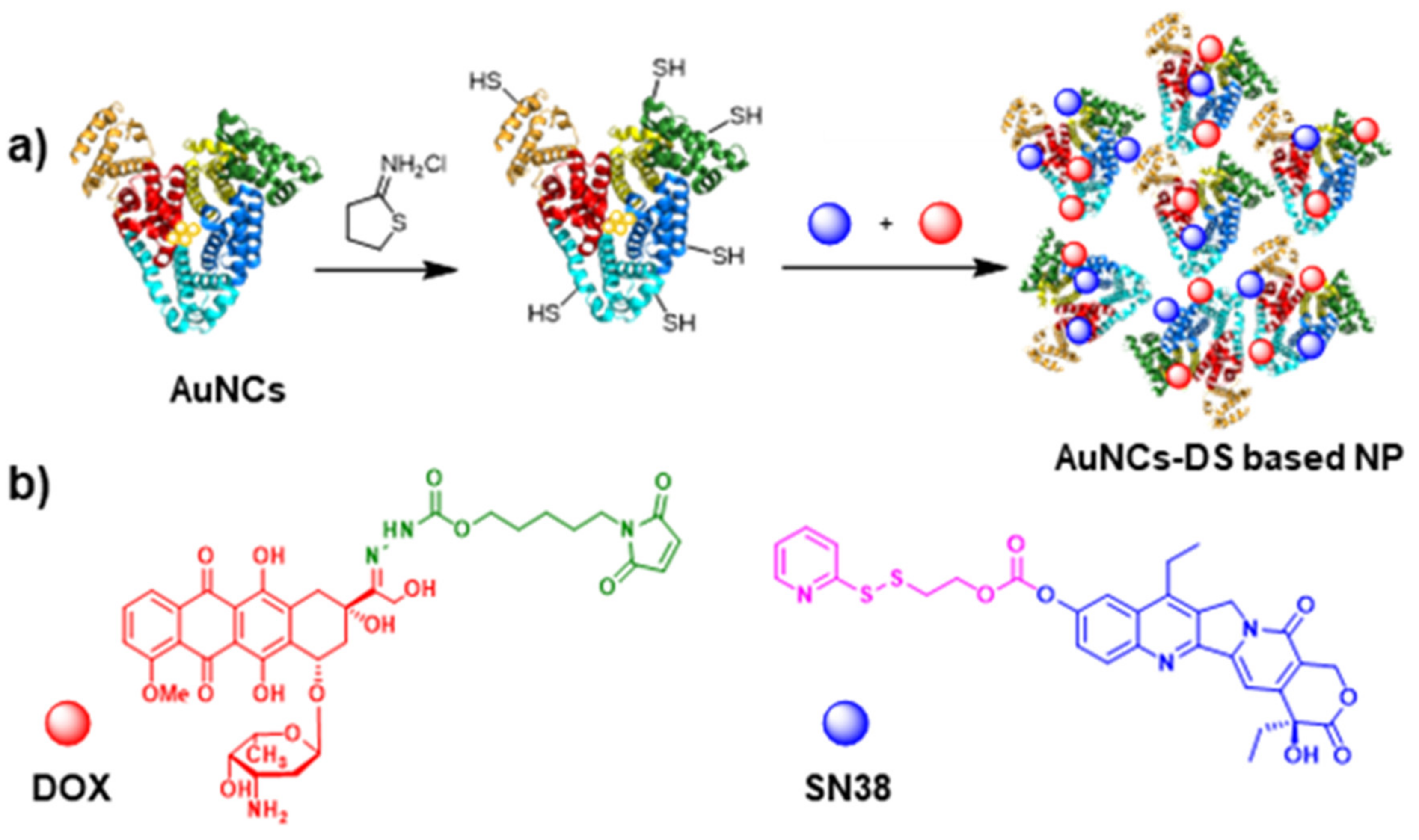 Cancers 11 00969 g001