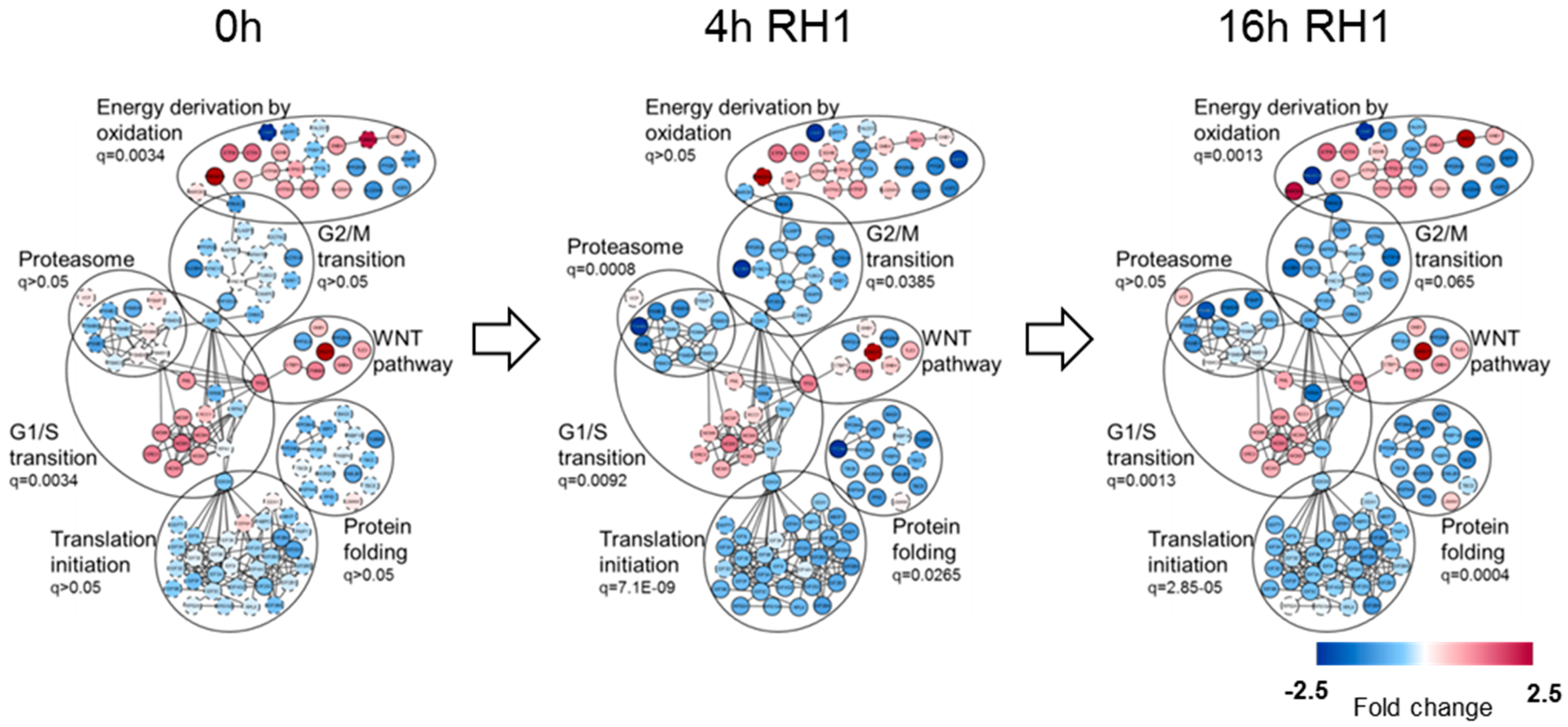 Cancers 11 00972 g002