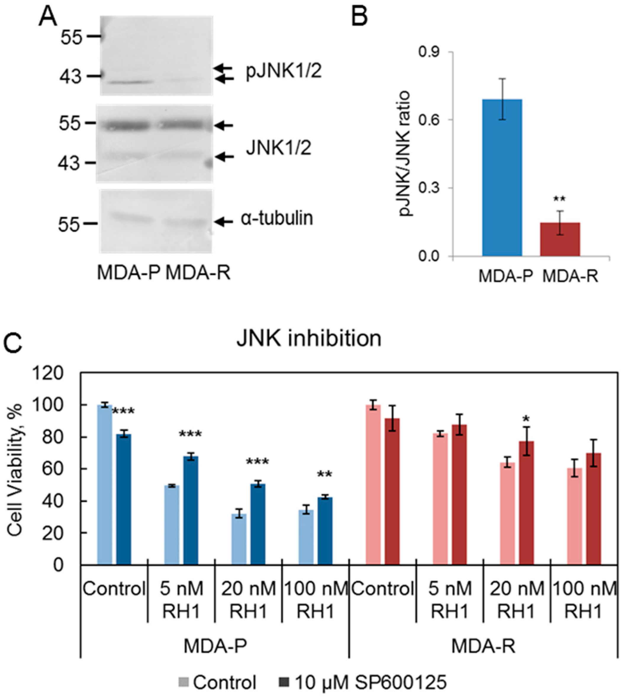 Cancers 11 00972 g004