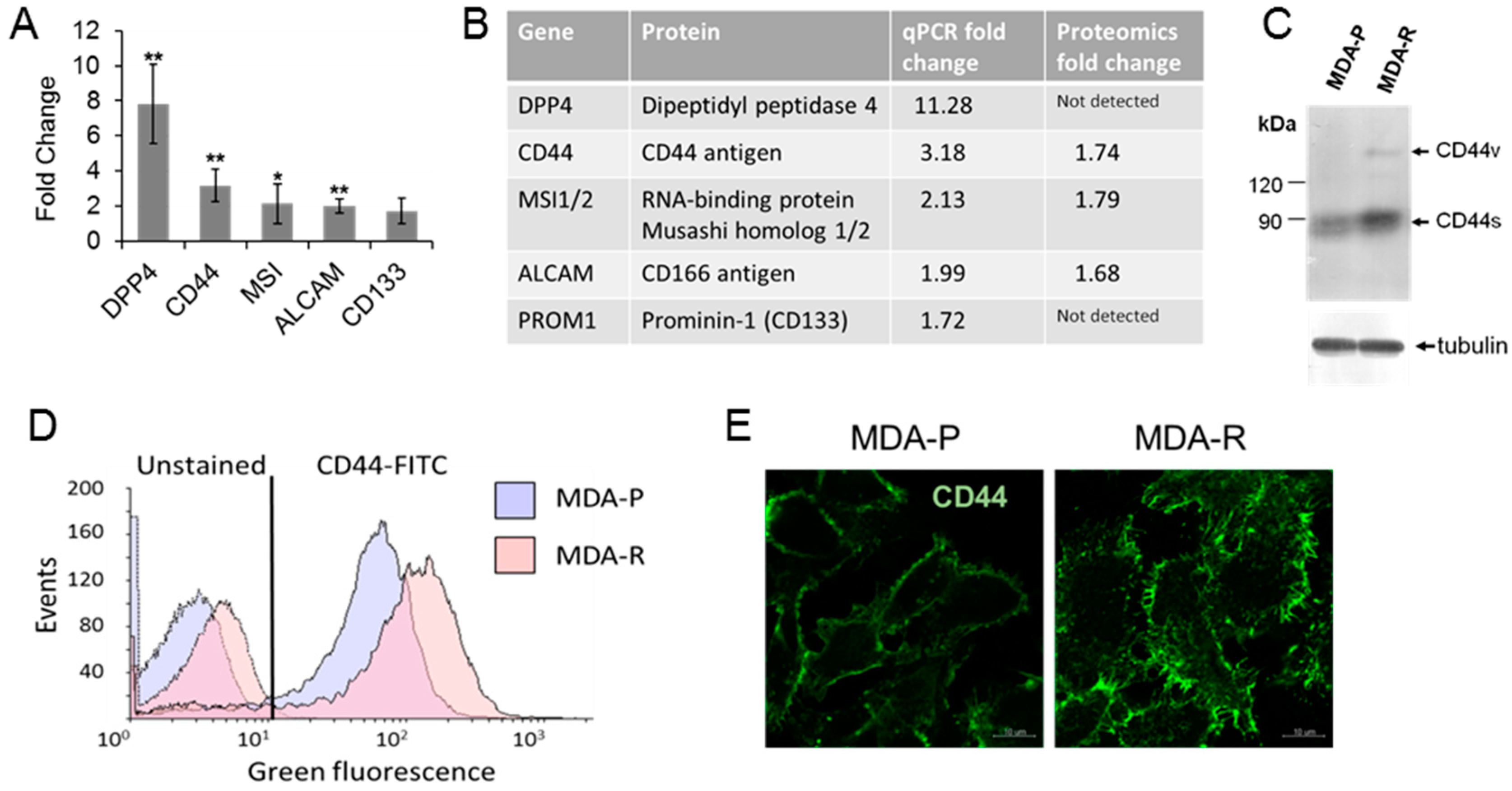 Cancers 11 00972 g005