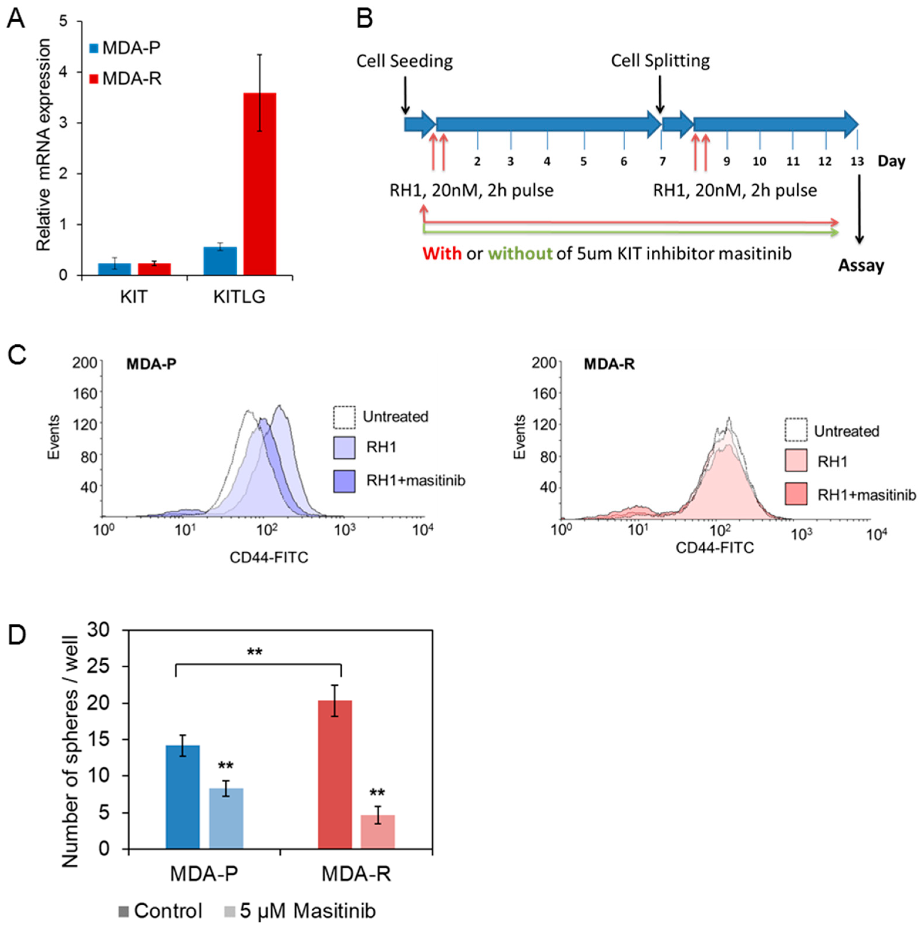 Cancers 11 00972 g006