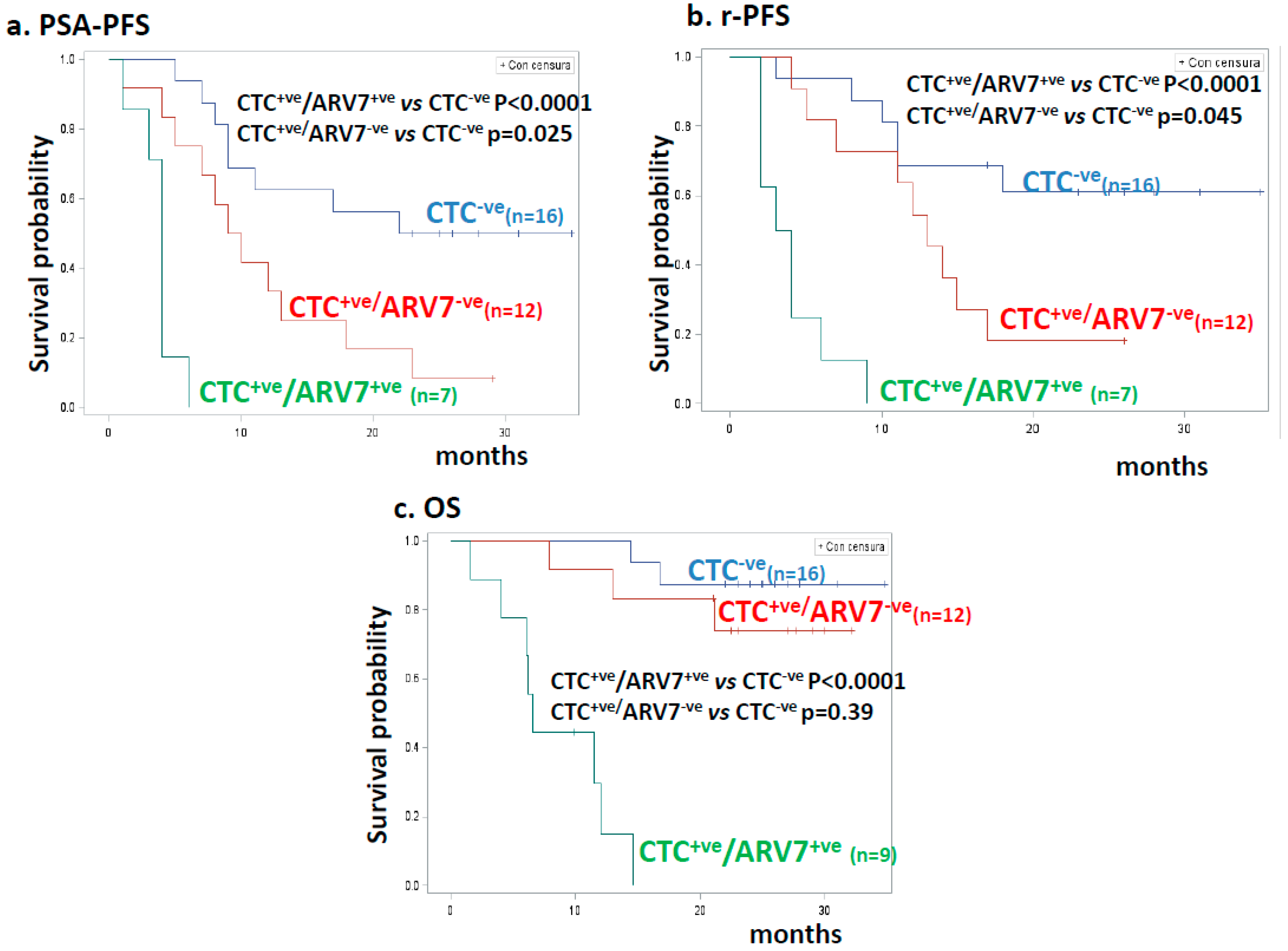 Cancers 11 00980 g004